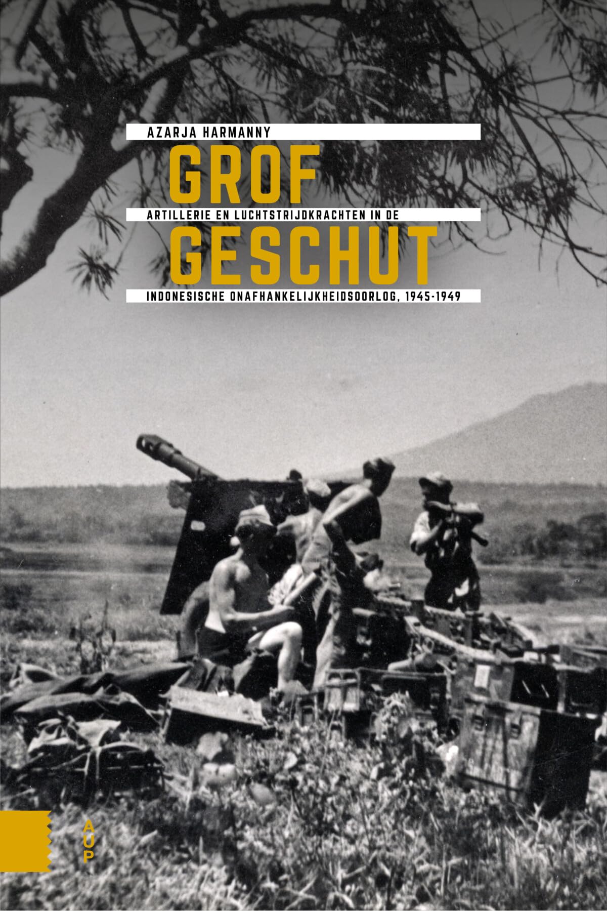 Grof geschut: Artillerie en luchtstrijdkrachten in de Indonesische onafhankelijkheidsoorlog, 1945-1949 book