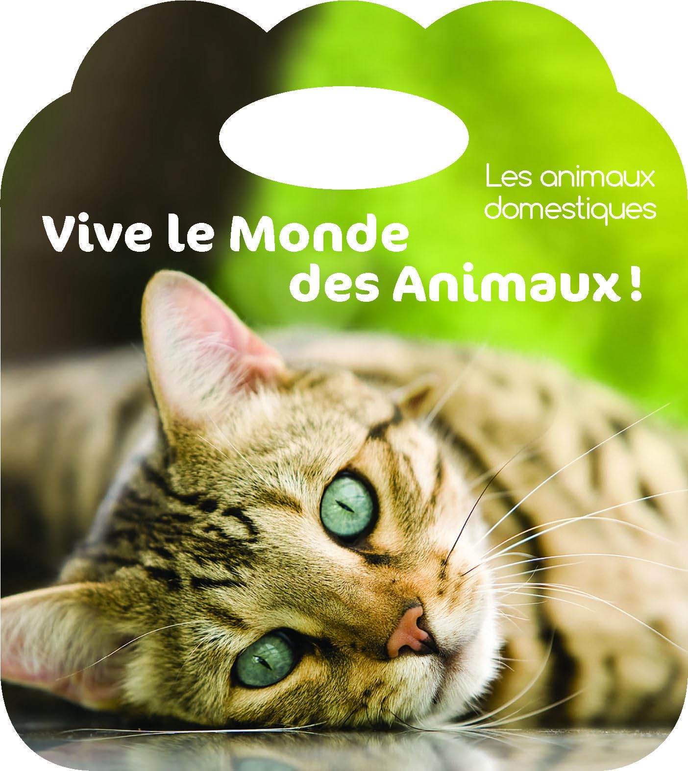 Les animaux domestiques: Vive le monde book