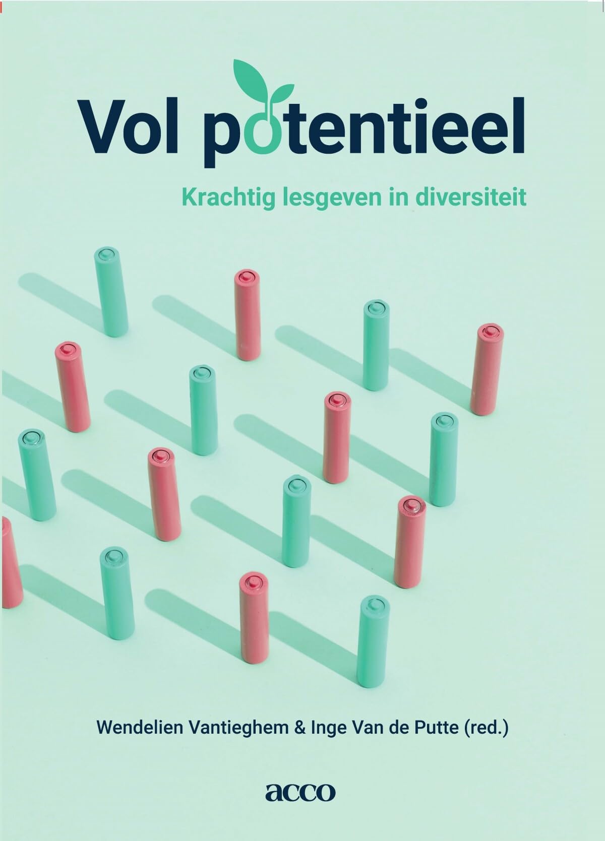 Vol potentieel: krachtig lesgeven in diversiteit book