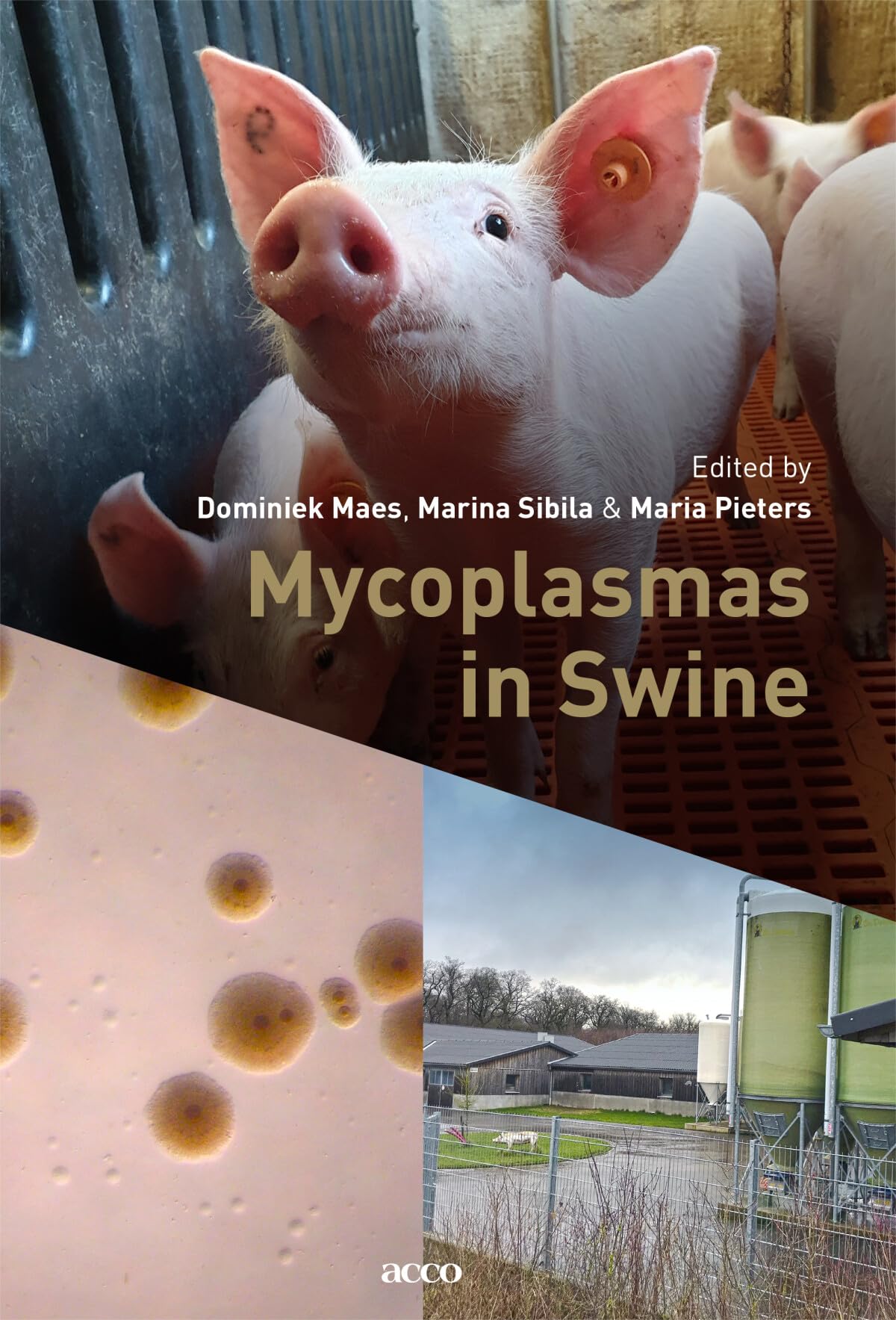 Mycoplasmas in Swine book