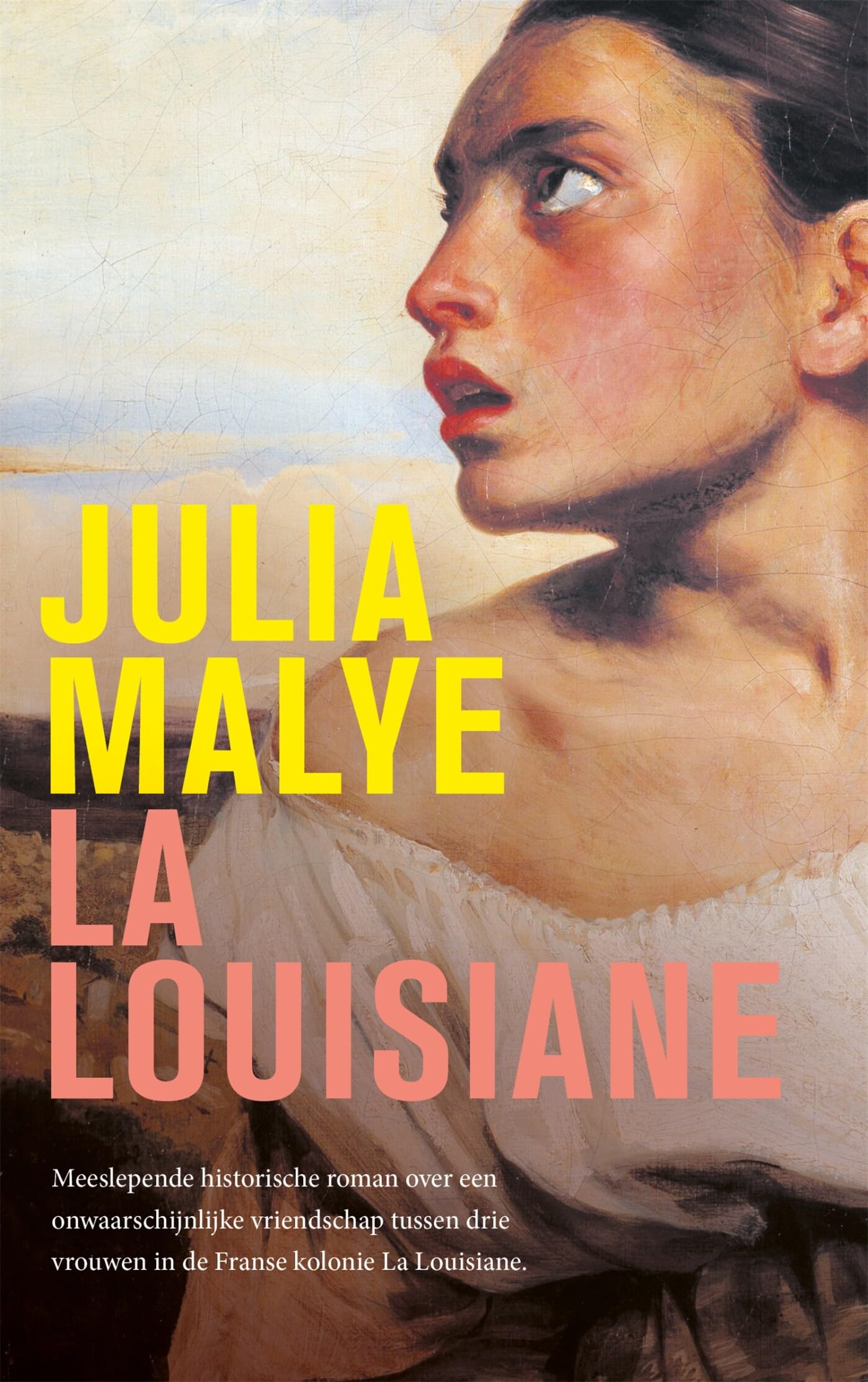 La Louisiane: roman LGBTQ+