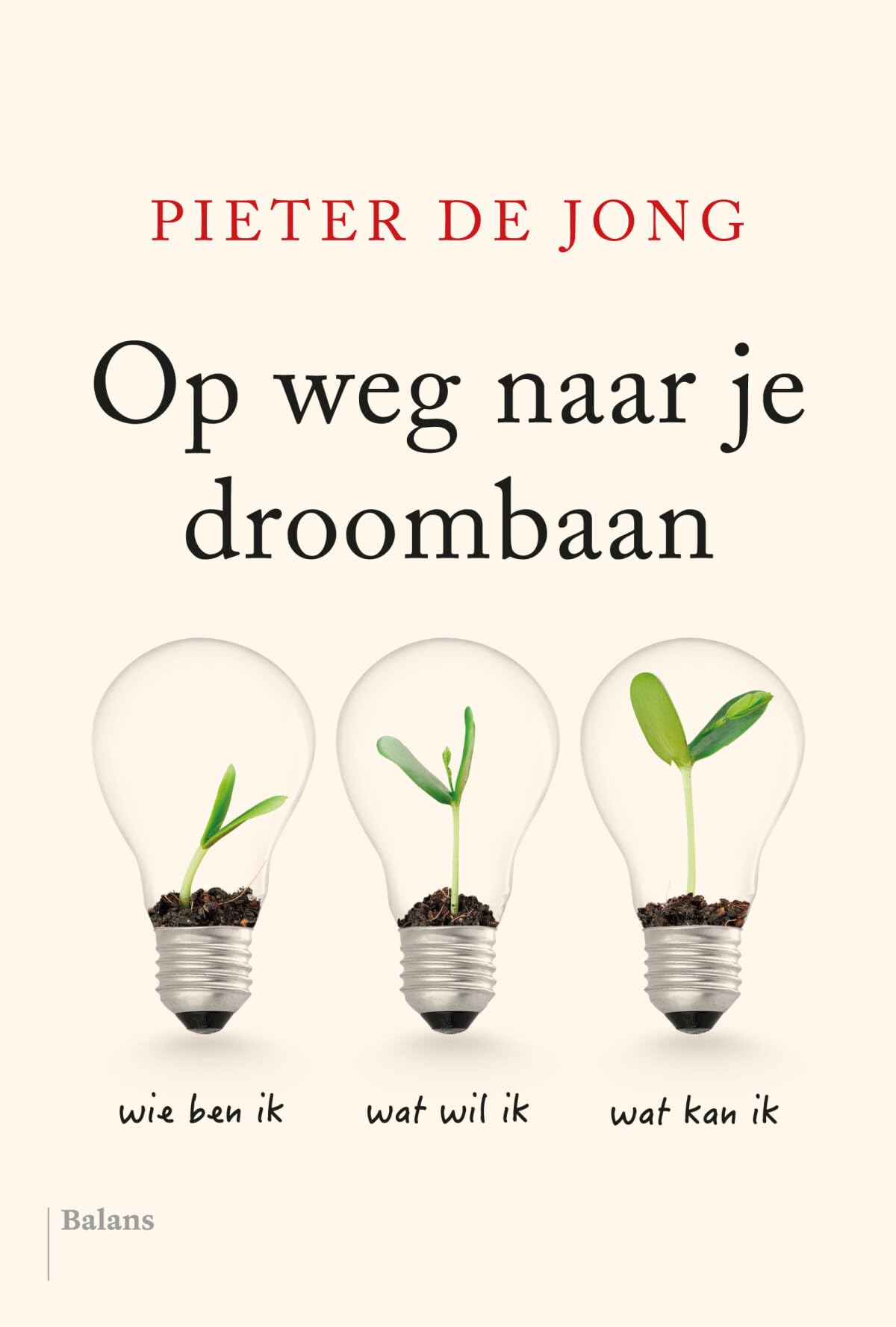 Op weg naar je droombaan book