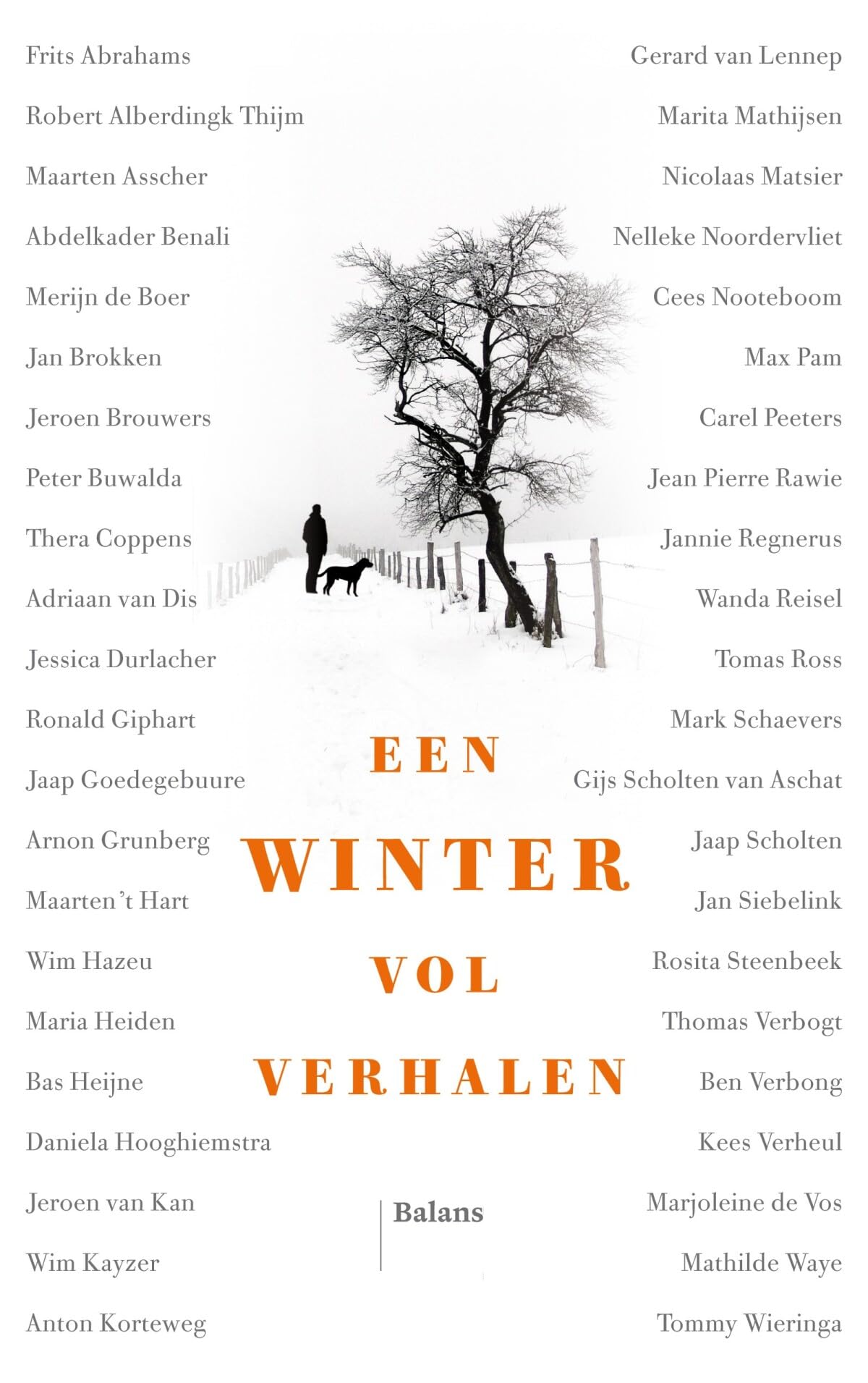 Een winter vol verhalen Contemporary literature