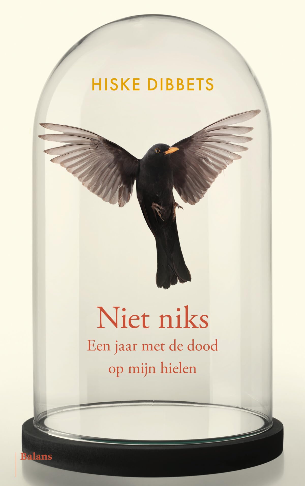 Niet niks: een jaar met de dood op mijn hielen Death & Mourning