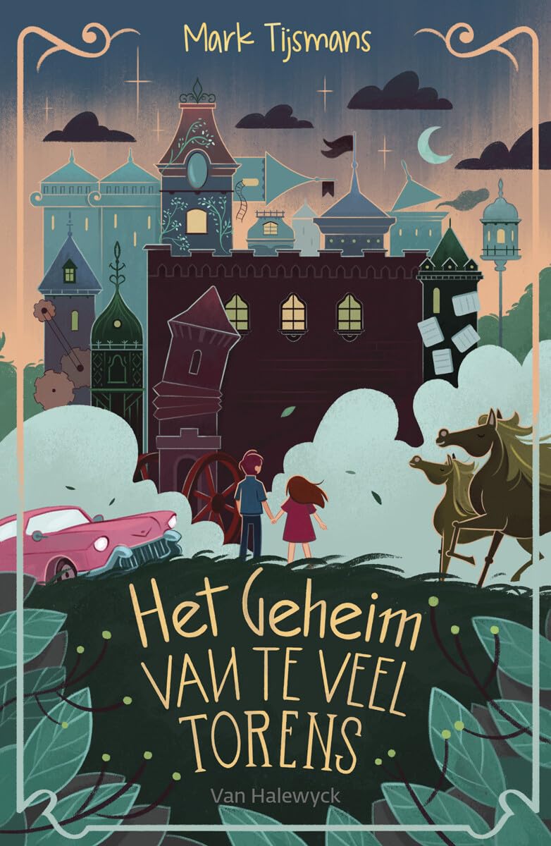 Het geheim van te veel torens book