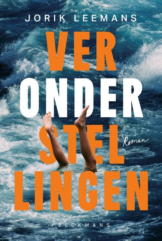 Veronderstellingen: roman Contemporary literature