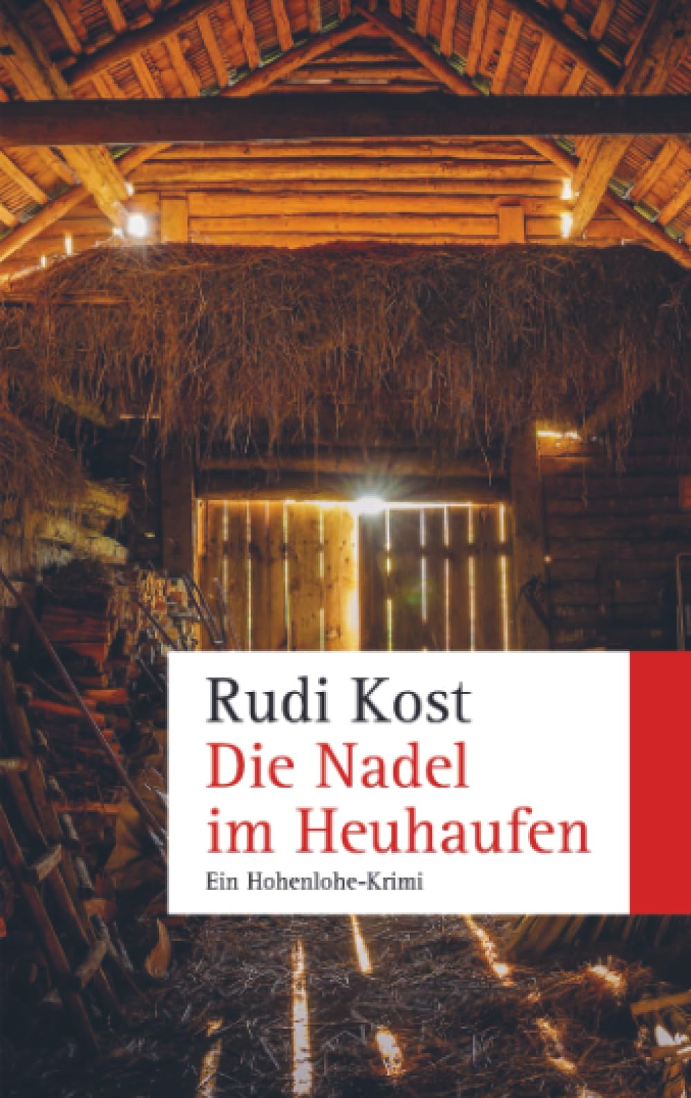 Die Nadel im Heuhaufen Contemporary literature