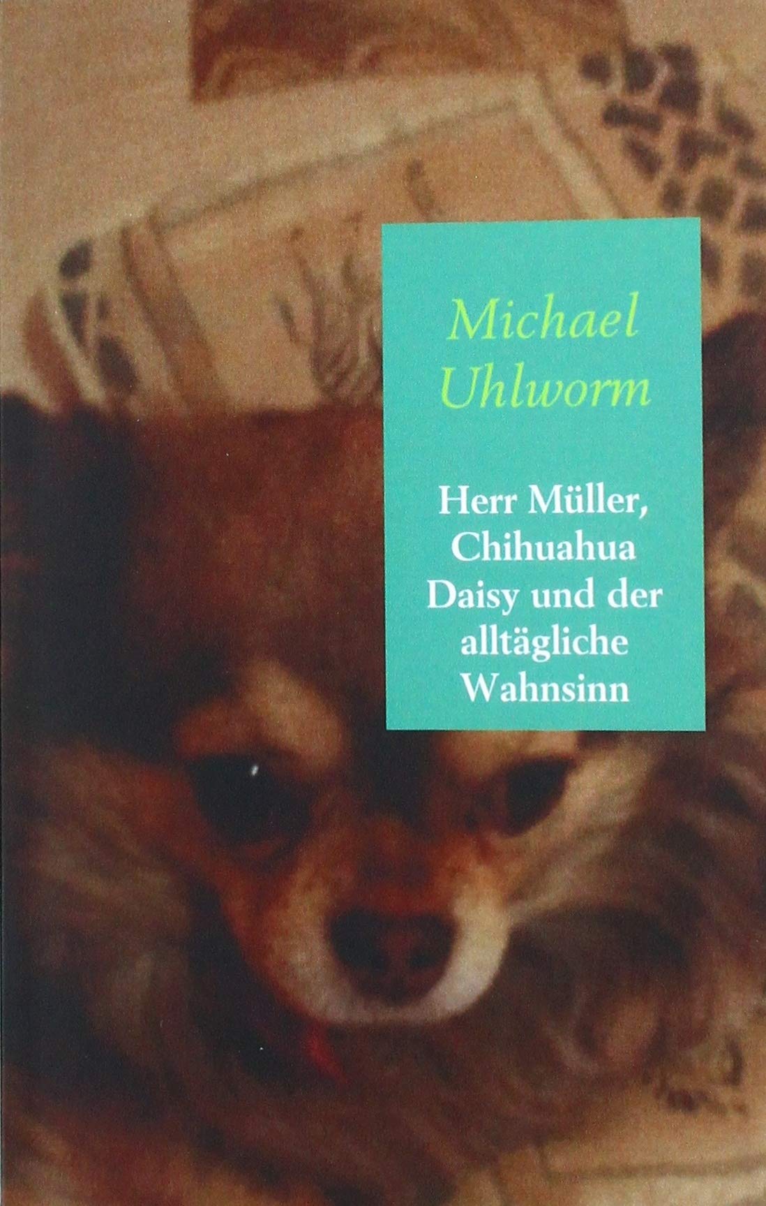 Herr Müller, Chihuahua Daisy und der alltägliche Wahnsinn: 10 vergnügliche Geschichten um einen liebenswerten Loser Contemporary literature