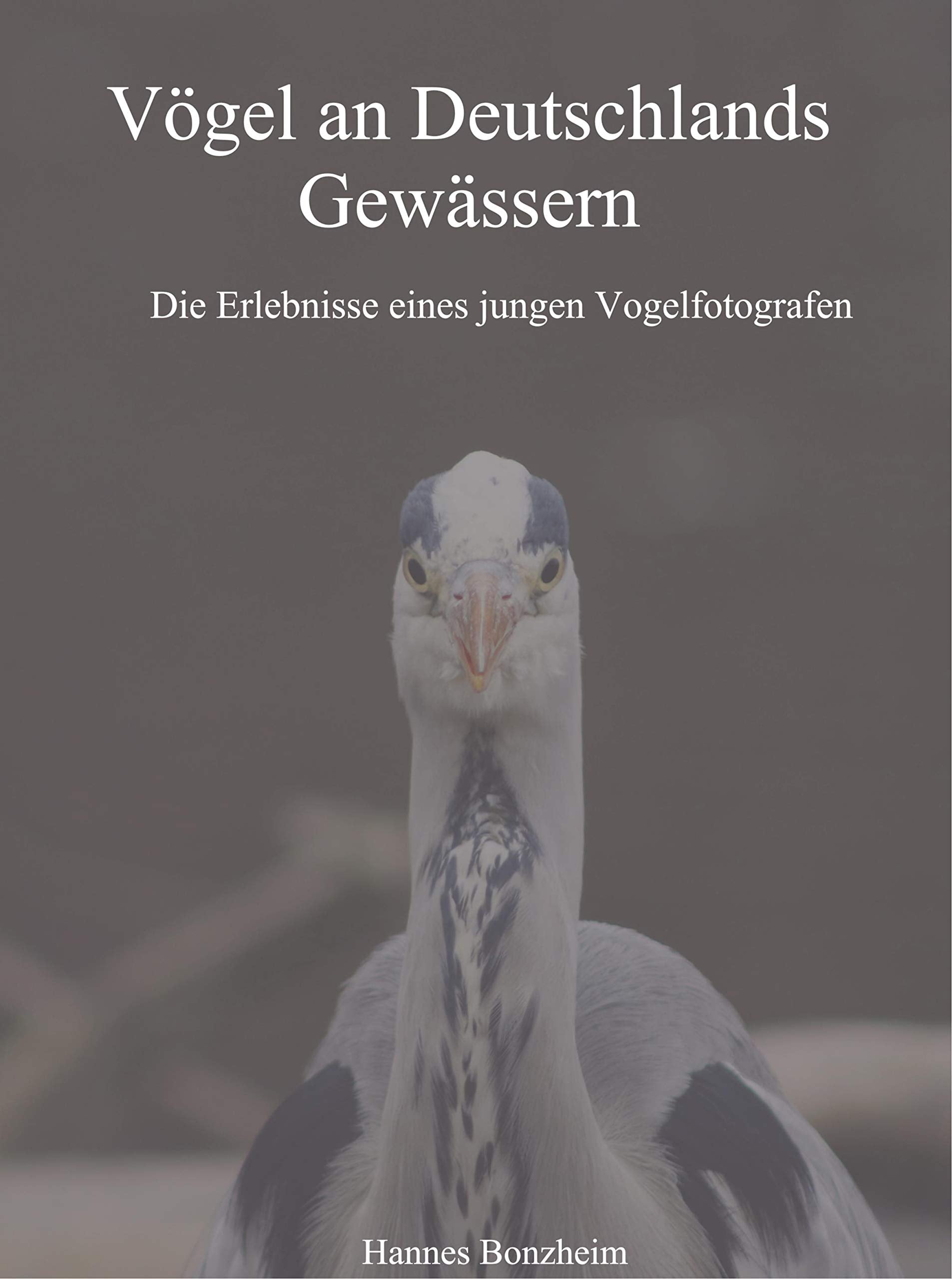 Vögel an Deutschlands Gewässern: Die Erlebnisse eines jungen Vogelfotografen Business & Technology