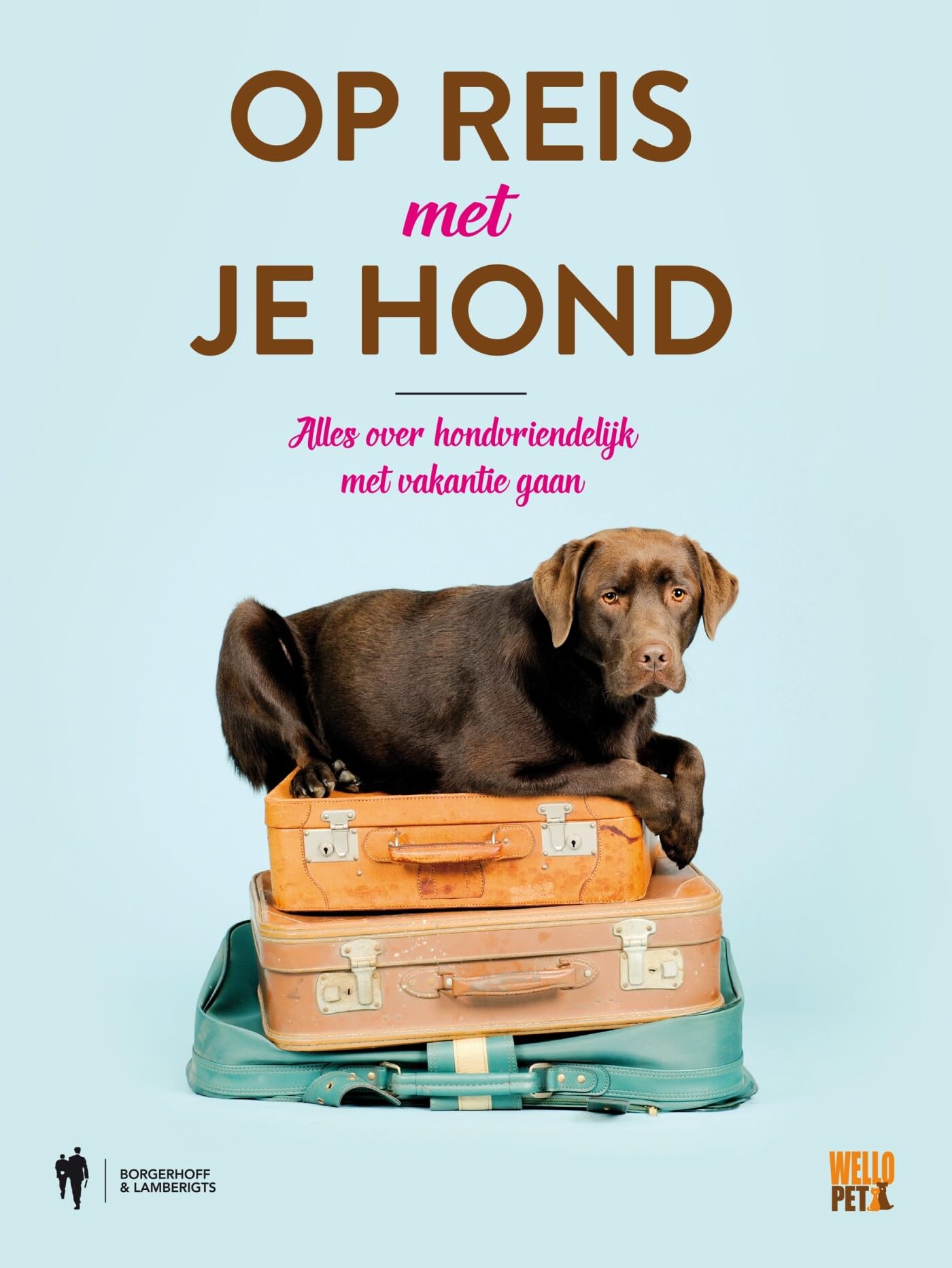 Op reis met je hond: alles over hondvriendelijk met vakantie gaan book