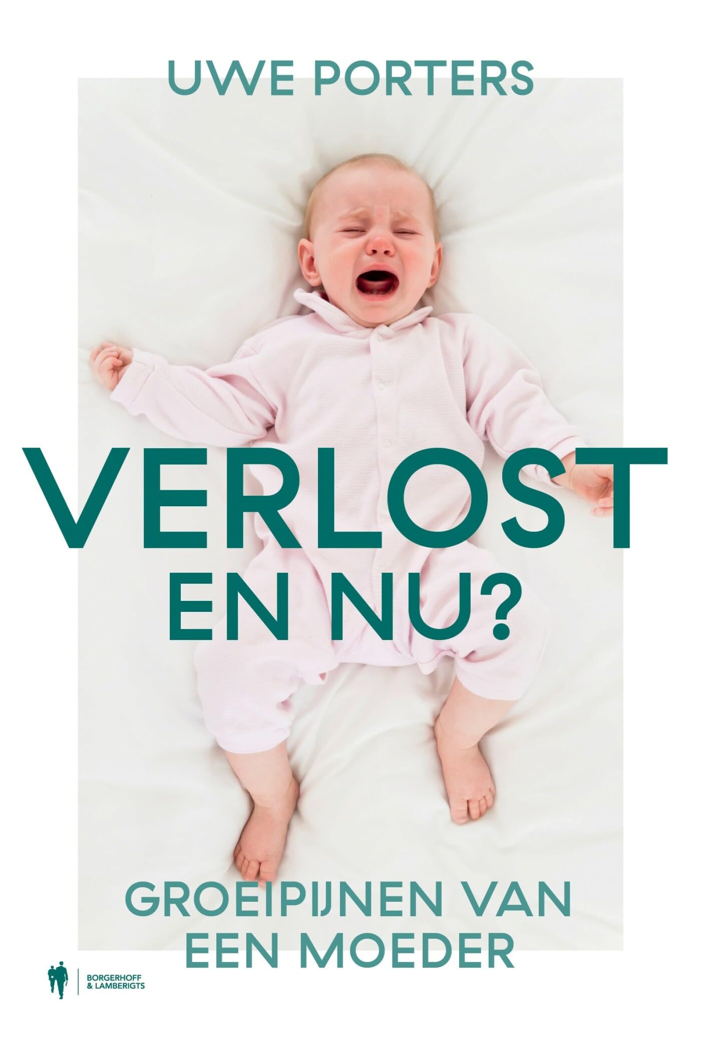 Verlost, en nu?: groeipijnen van een moeder book