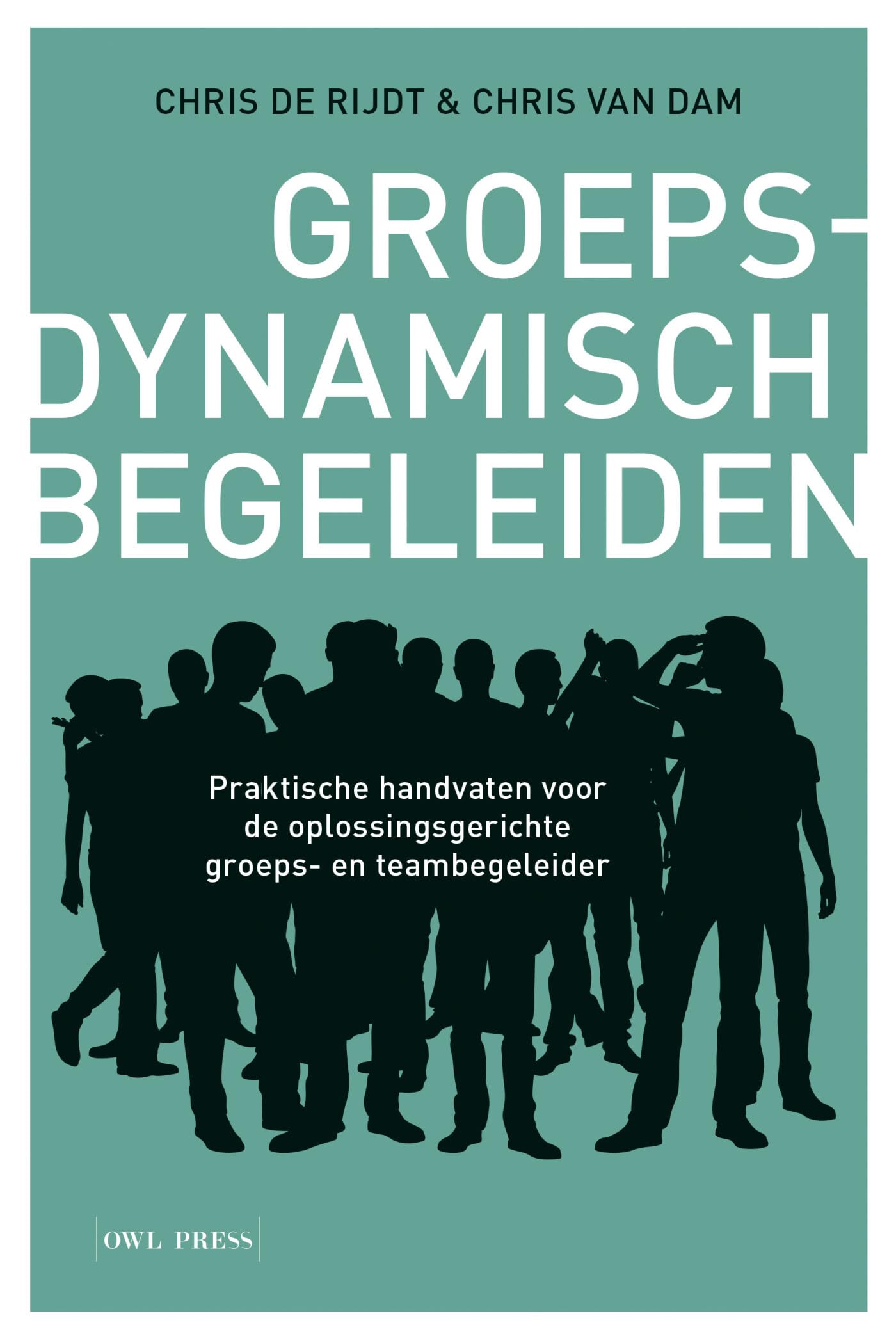 Groepsdynamisch begeleiden: praktische handvaten voor de oplossingsgerichte groeps- en teambegeleider book