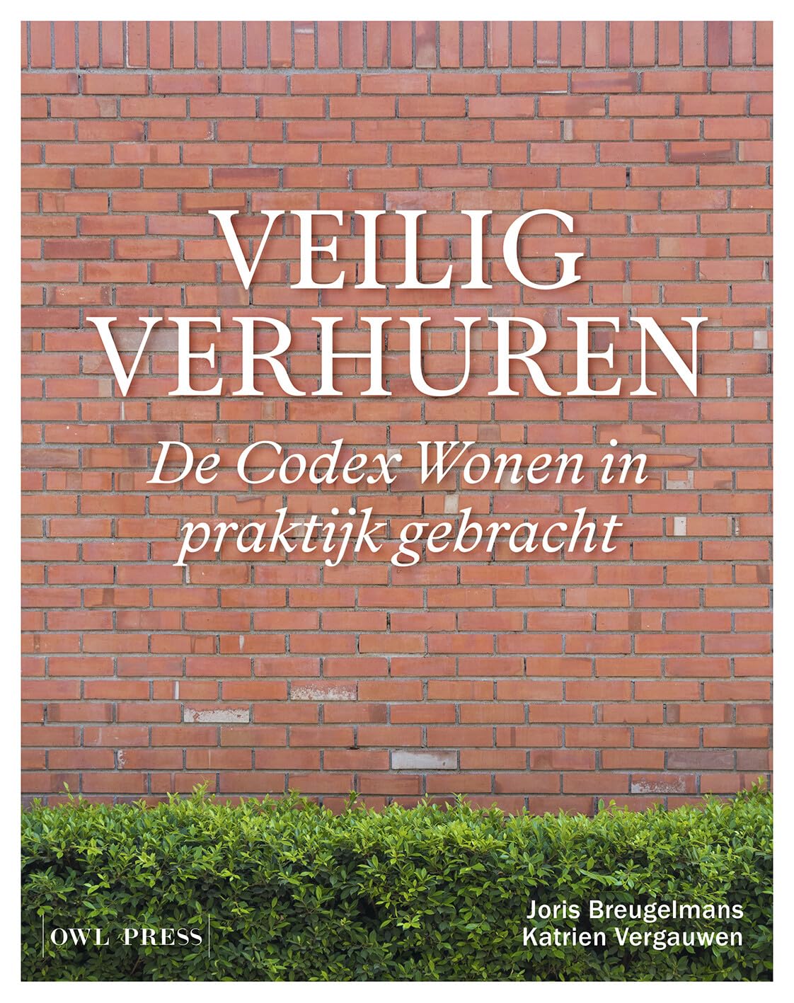 Veilig verhuren: de Codex Wonen in praktijk gebracht book