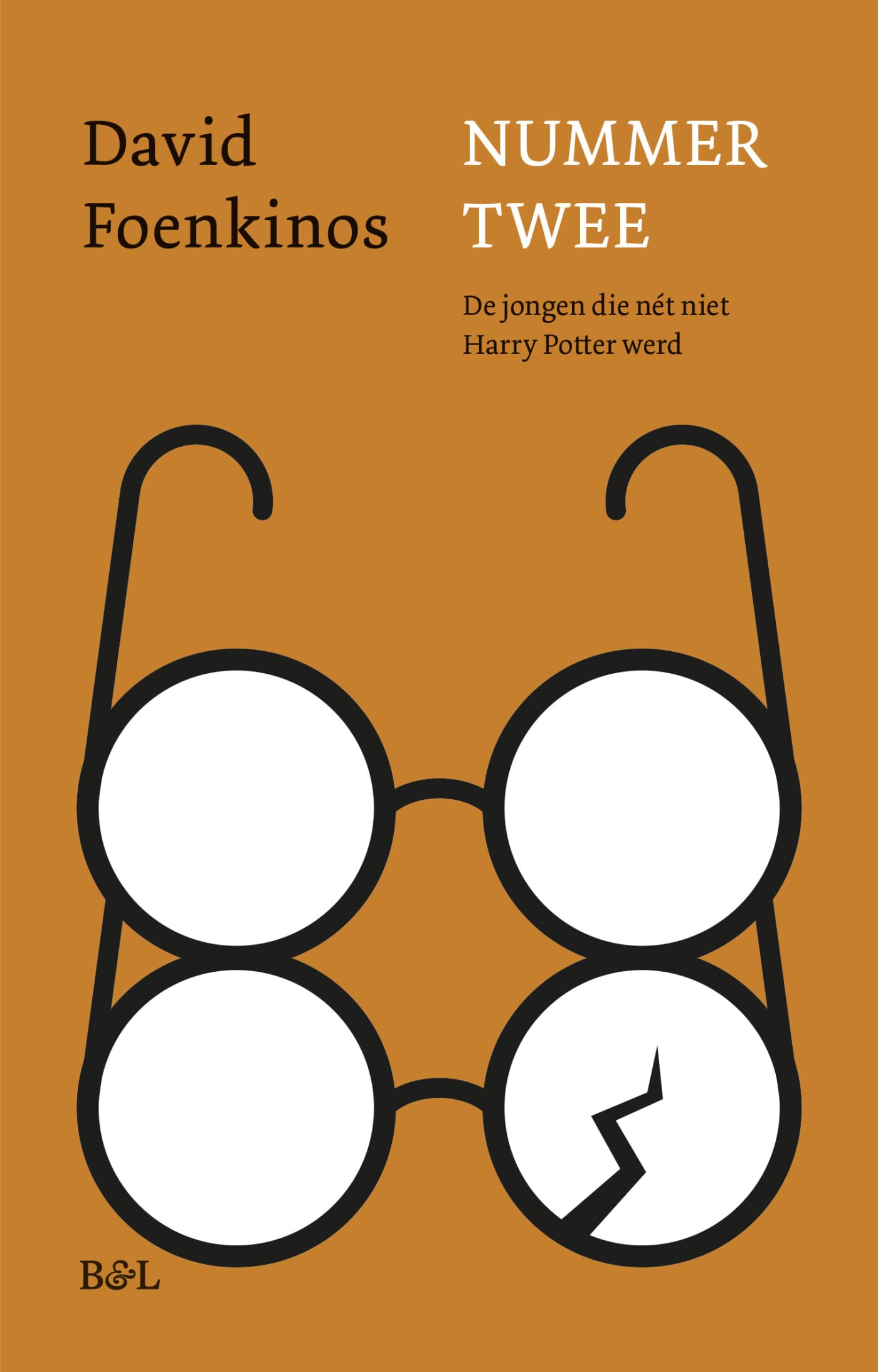 Nummer twee: de jongen die nét niet Harry Potter werd book