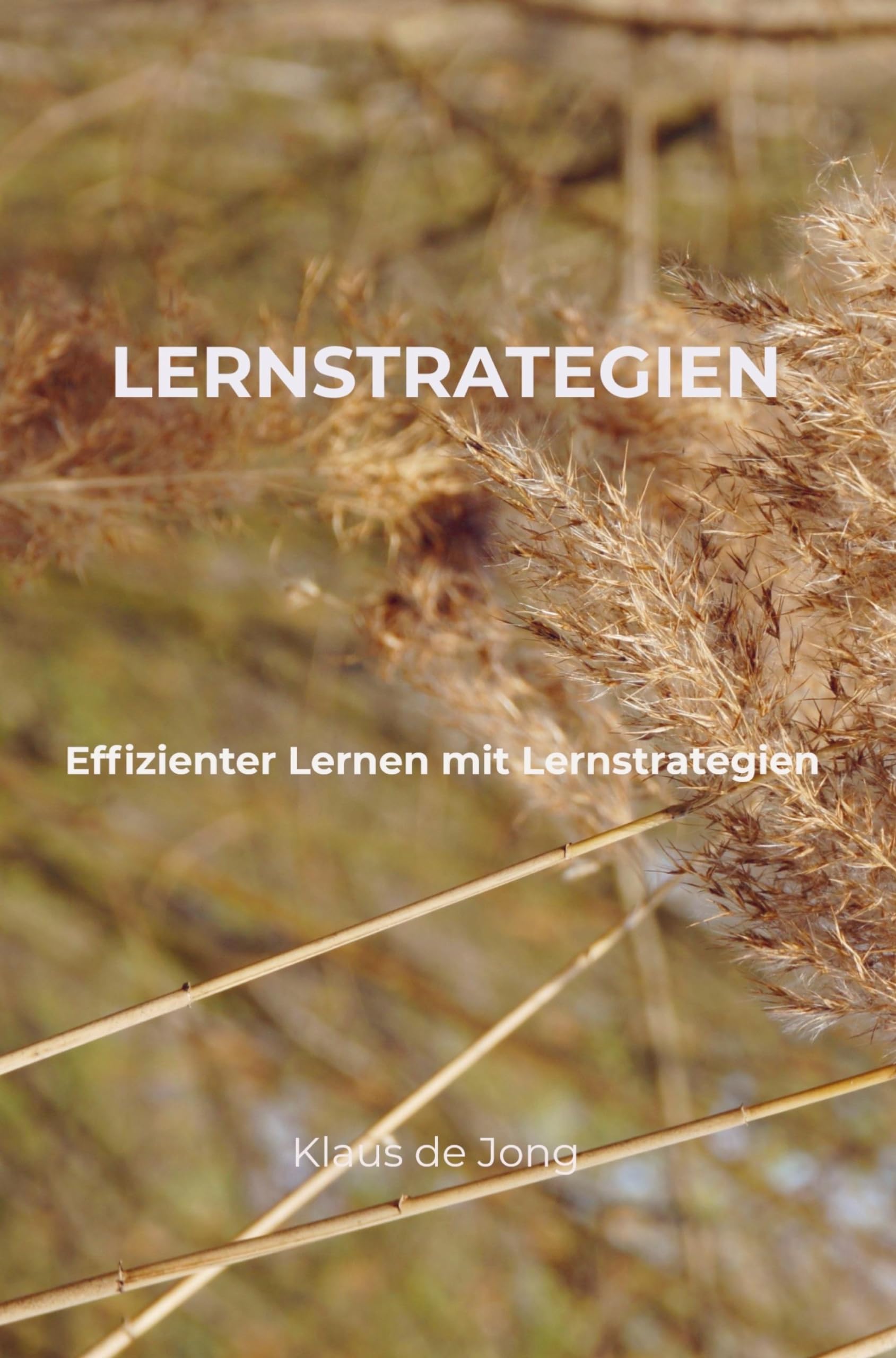Lernstrategien: Effizienter Lernen mit Lernstrategien Books
