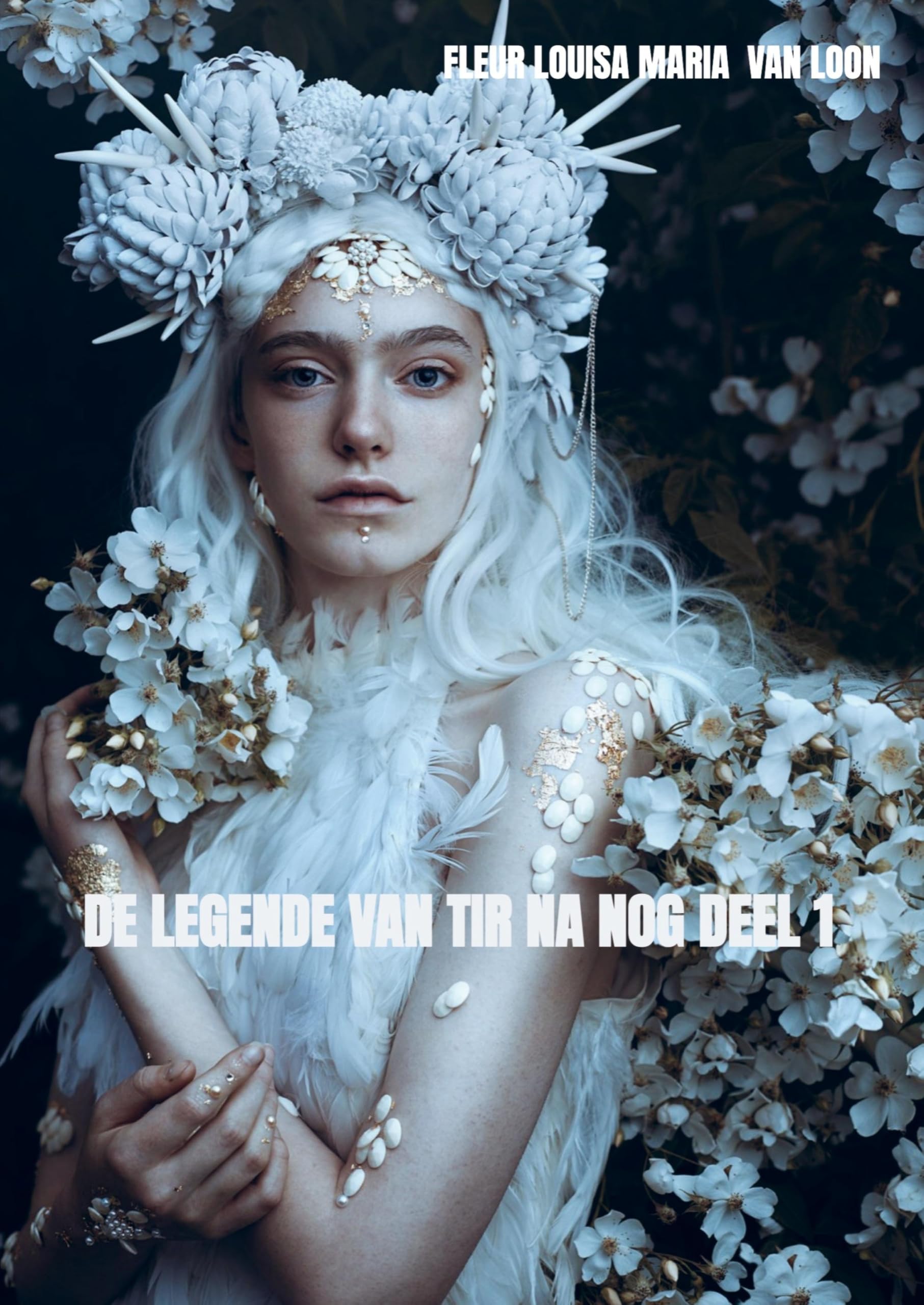De legende van Tir Na Nog deel 1 Historical Fiction