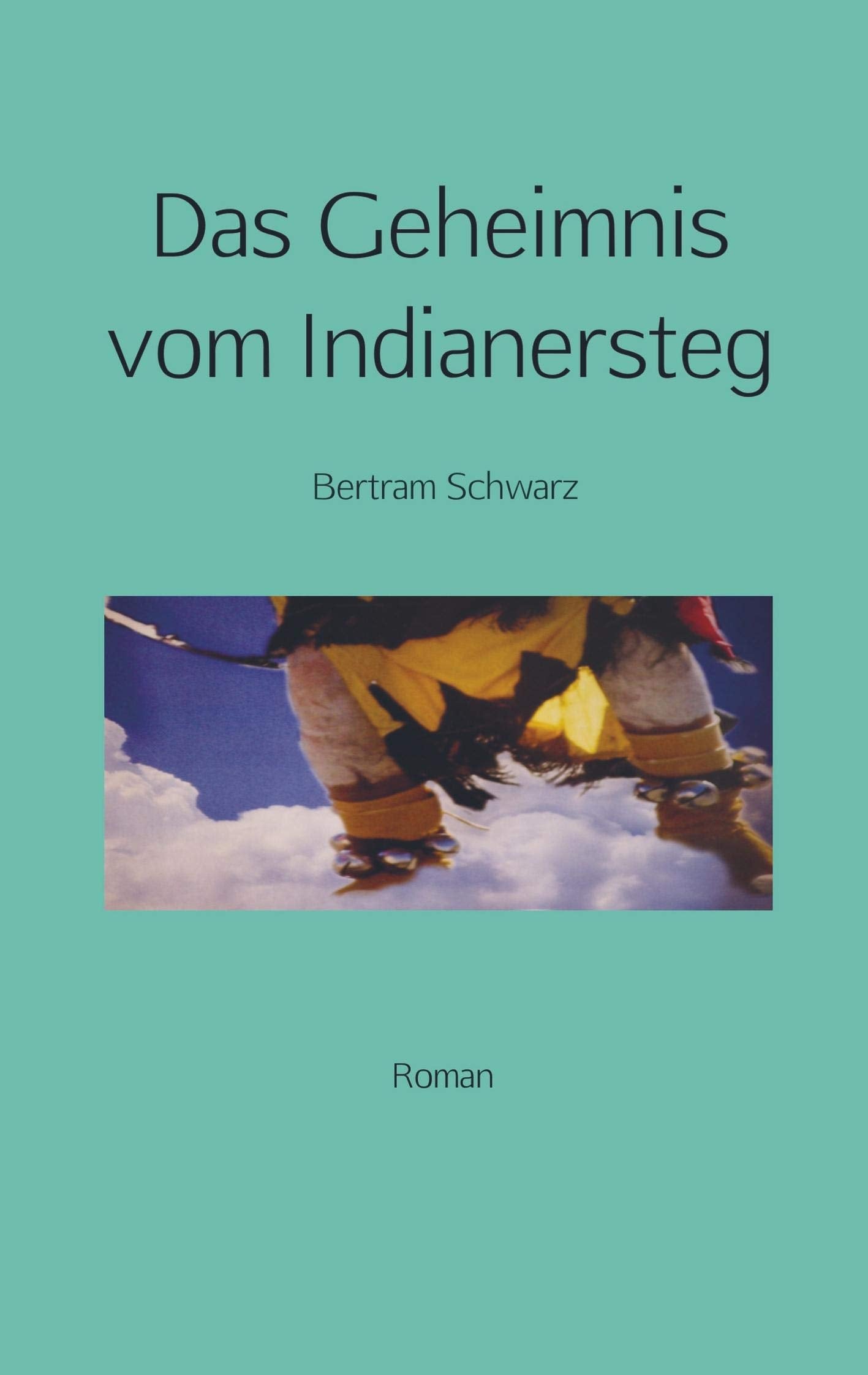 Das Geheimnis vom Indianersteg: Roman Contemporary literature