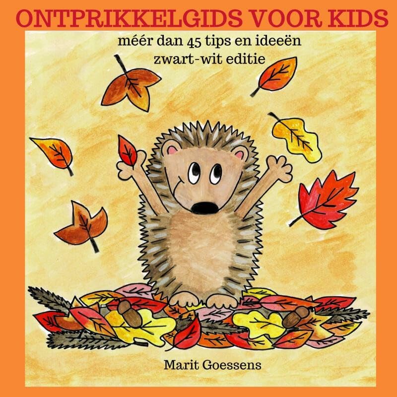 Ontprikkelgids voor kids: méér dan 45 tips en ideeën zwart-wit editie book