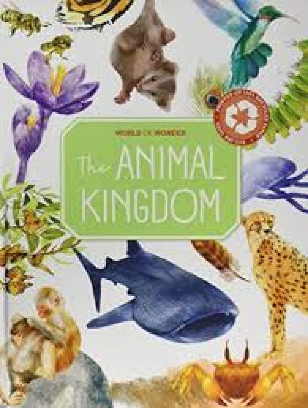YOYO BOOKS: ANIMAL KINGDOM Books