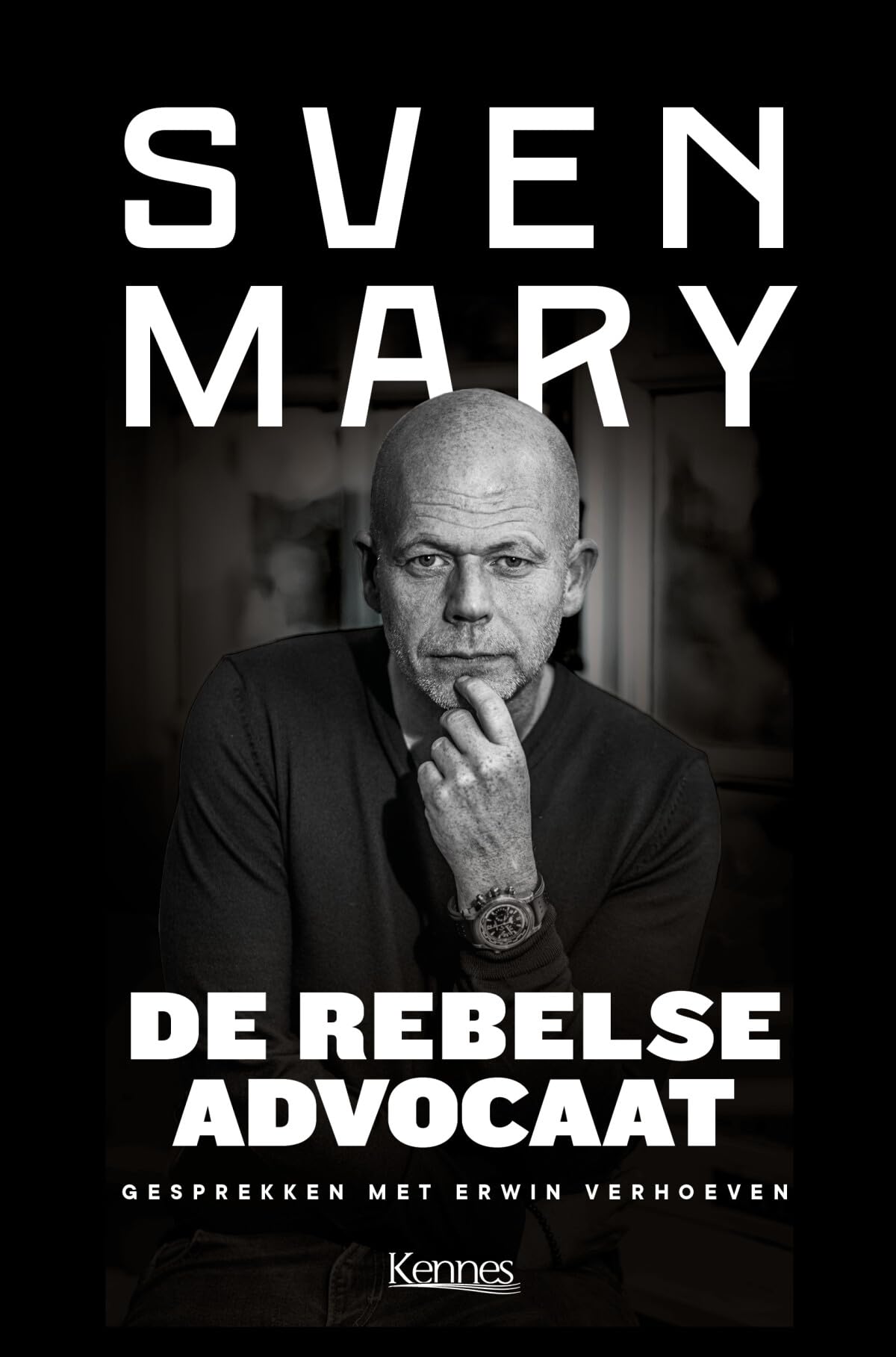 De rebelse advocaat: gesprekken met Erwin Verhoeven book