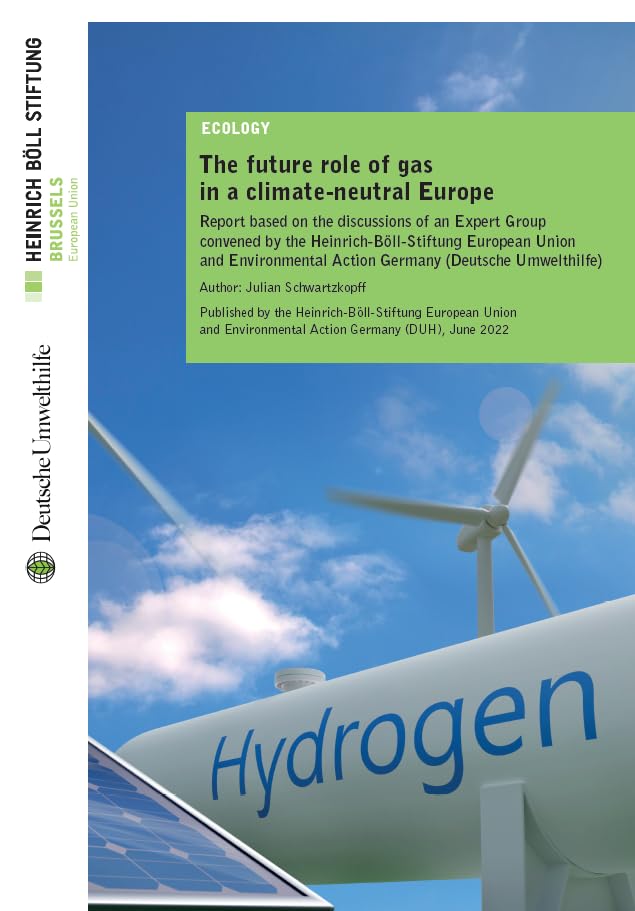 The future role of gas in a climate-neutral Europe: Report based on the discussions of an Expert Group convened by the Heinrich-Böll-Stiftung European Union and Environmental Action Germany Books