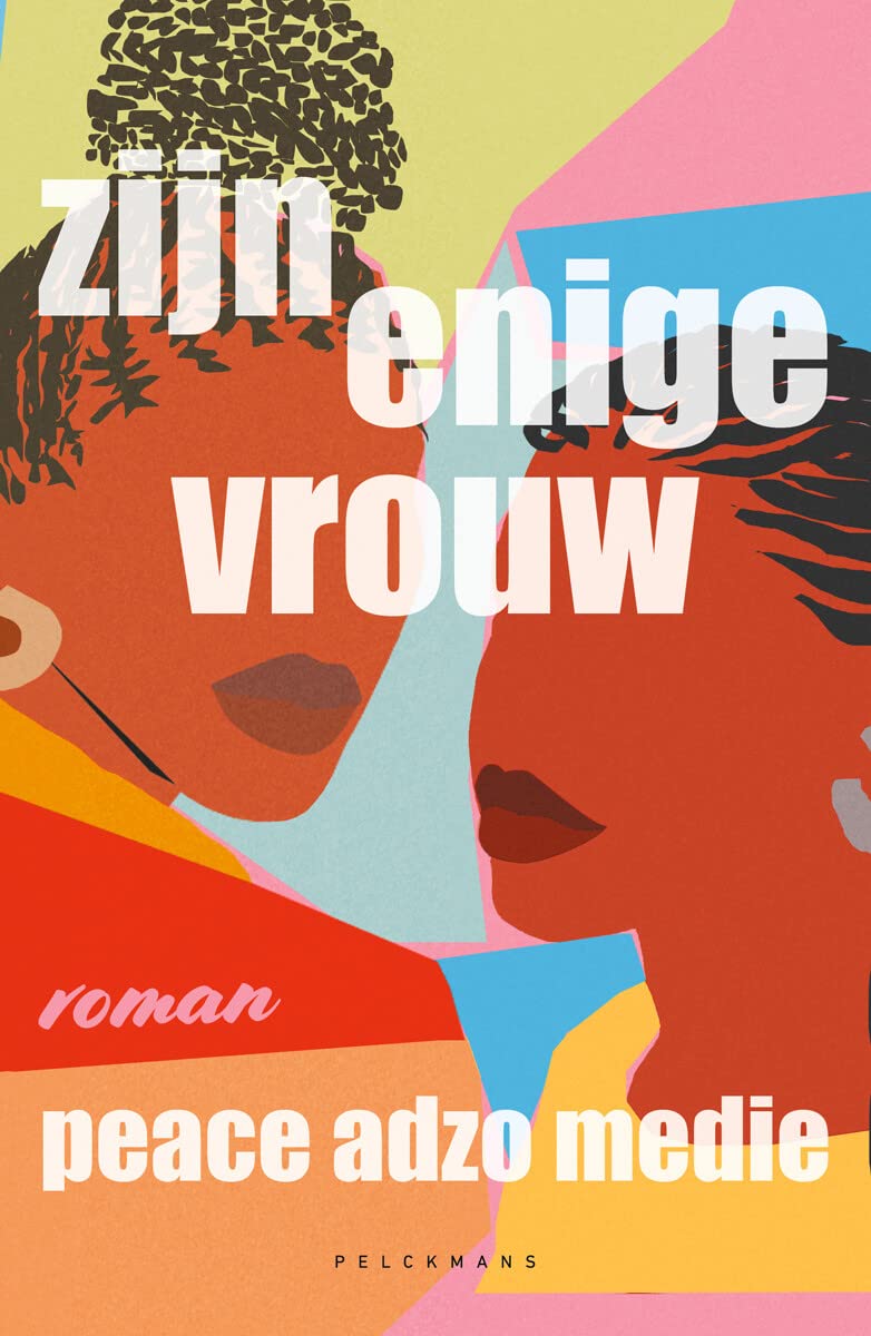 Zijn enige vrouw: roman book