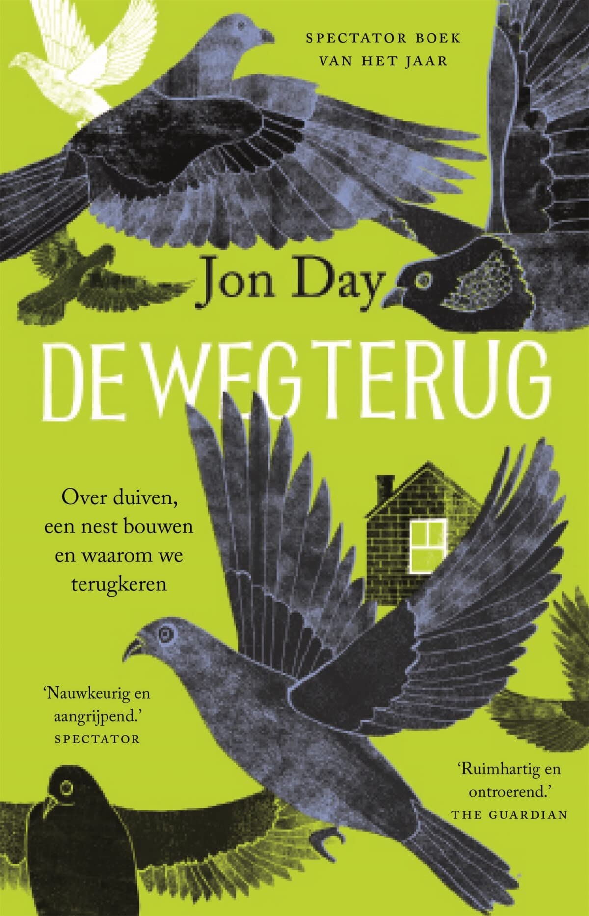 De weg terug: over duiven, een nest bouwen en waarom we terugkeren Mathematics