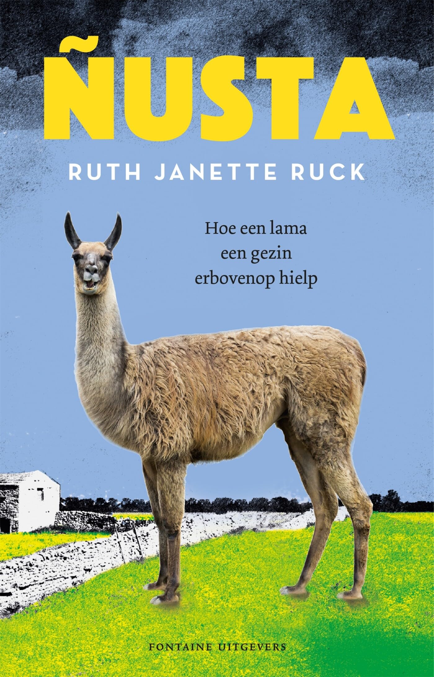 Ñusta: hoe een lama een gezin er weer bovenop hielp Art & Literature