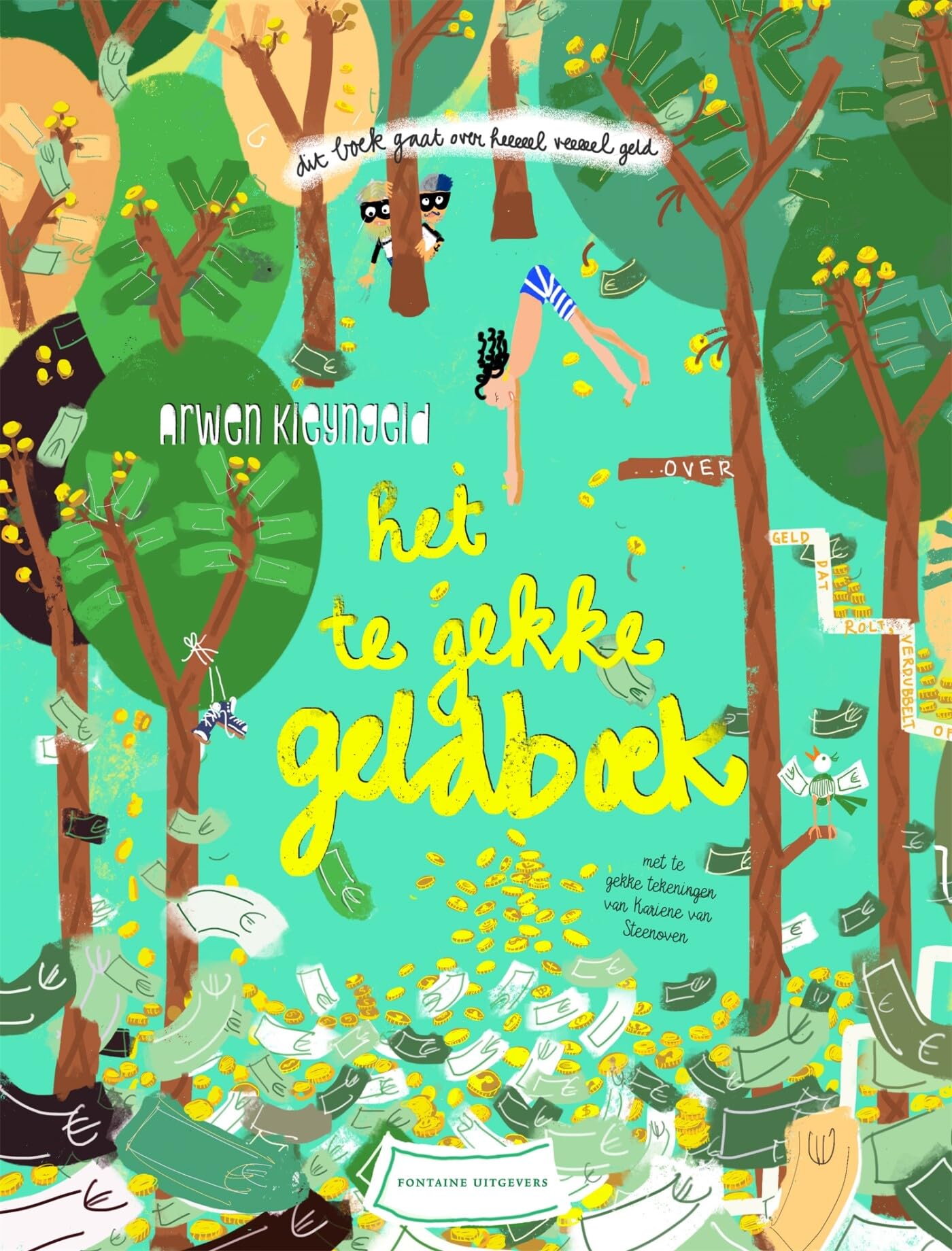 Het te gekke geldboek book