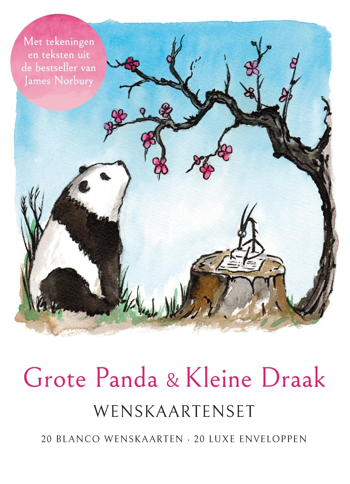 Grote Panda & Kleine Draak - kaartenset book