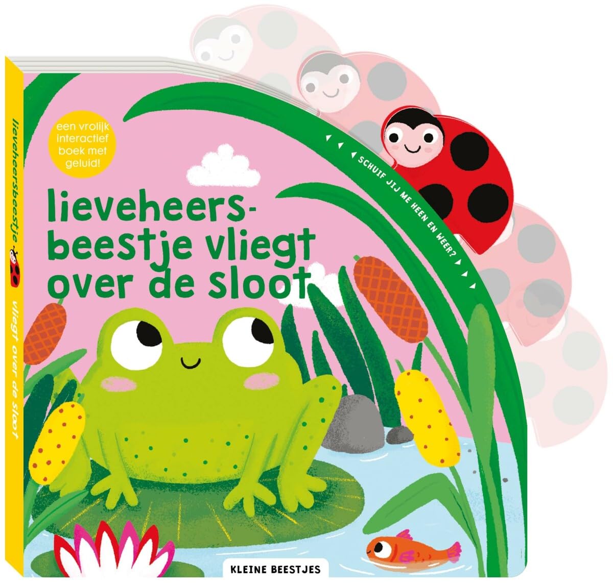 Lieveheersbeestje vliegt over de sloot book