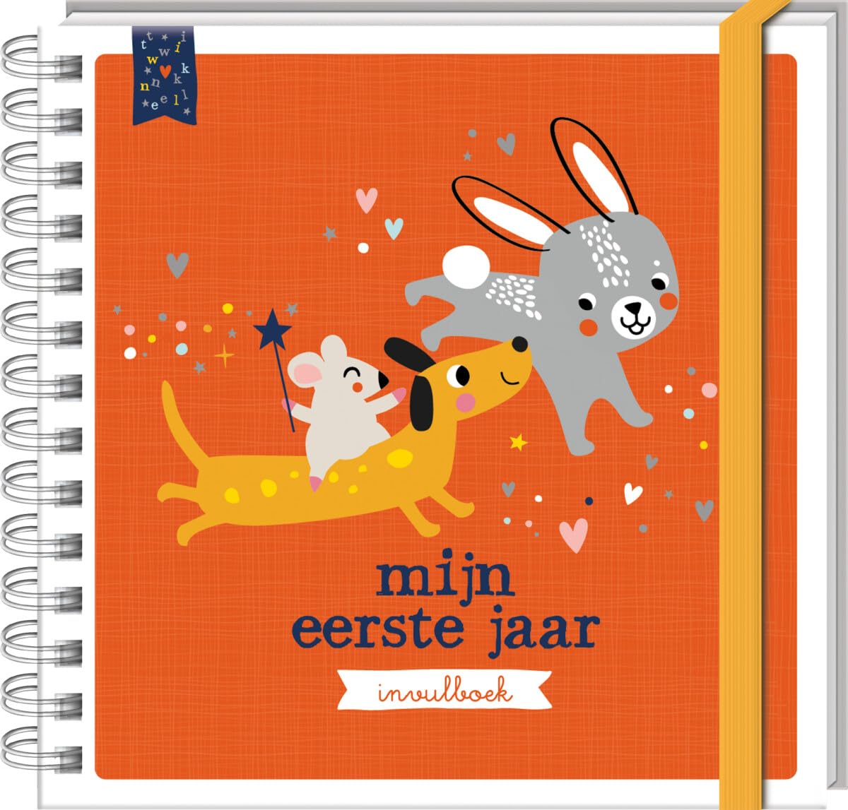 Baby's eerste jaar: invulboek book