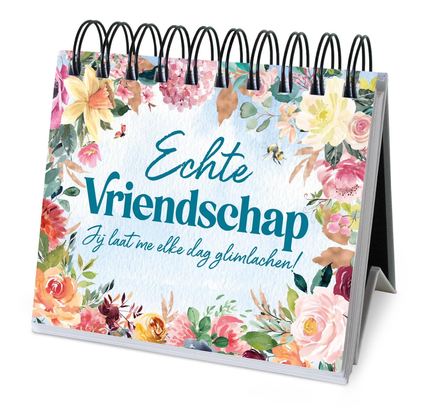 365 dagen cadeauboek - Echte vriendschap: Jij laat me elke dag glimlachen! book