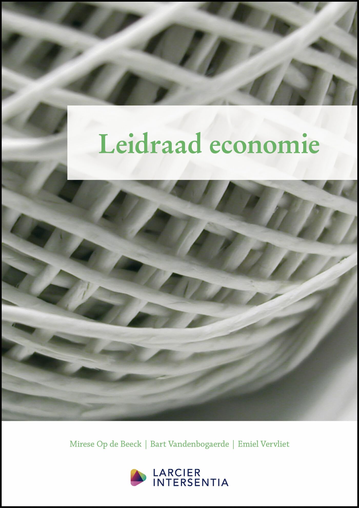 Leidraad economie: Editie 2024 book