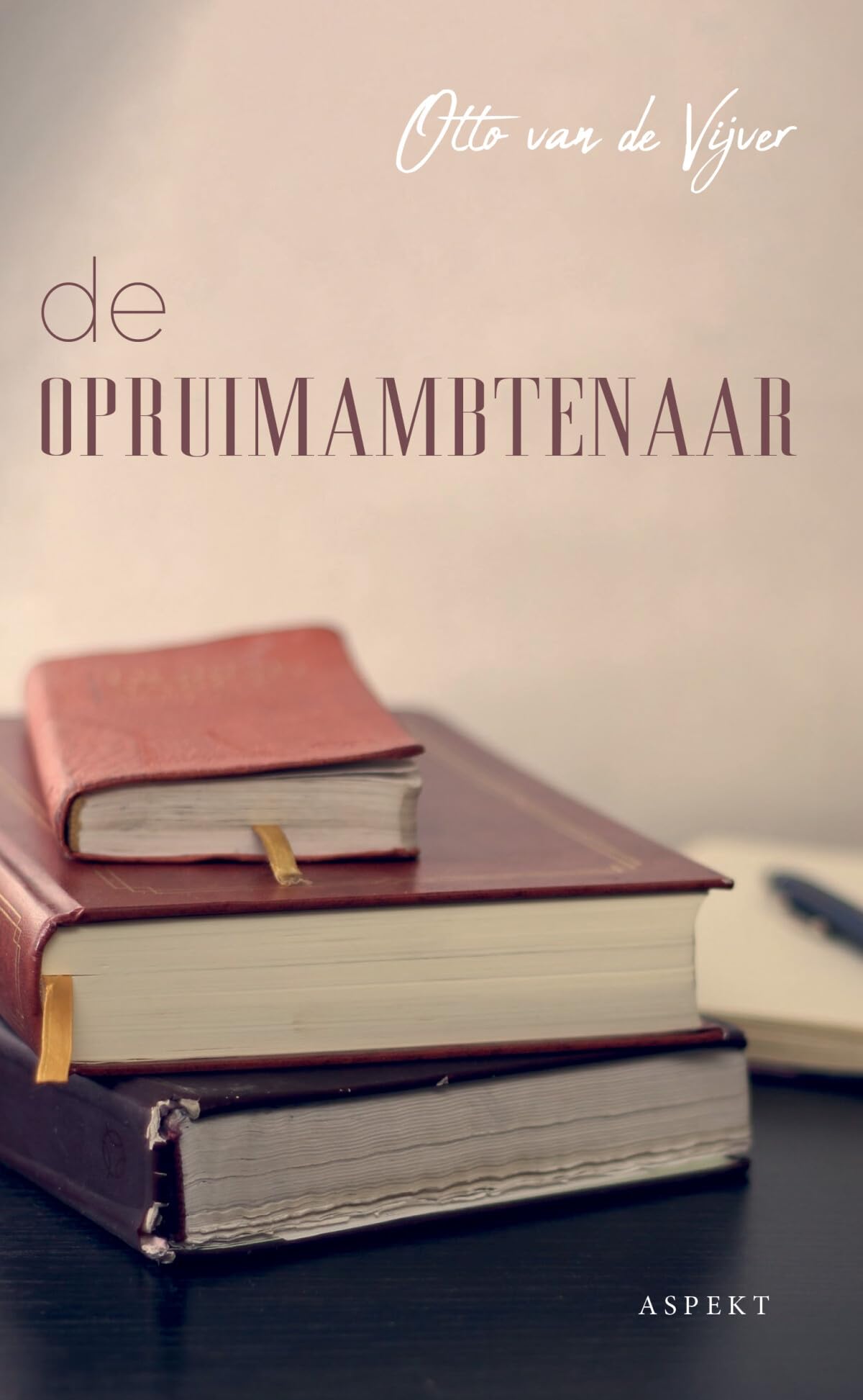 De Opruimambtenaar: Een stadhuisroman book