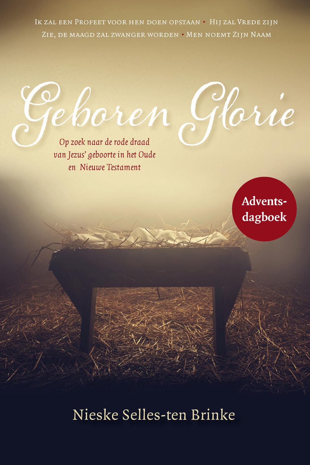 Geboren Glorie: Adventsdagboek book