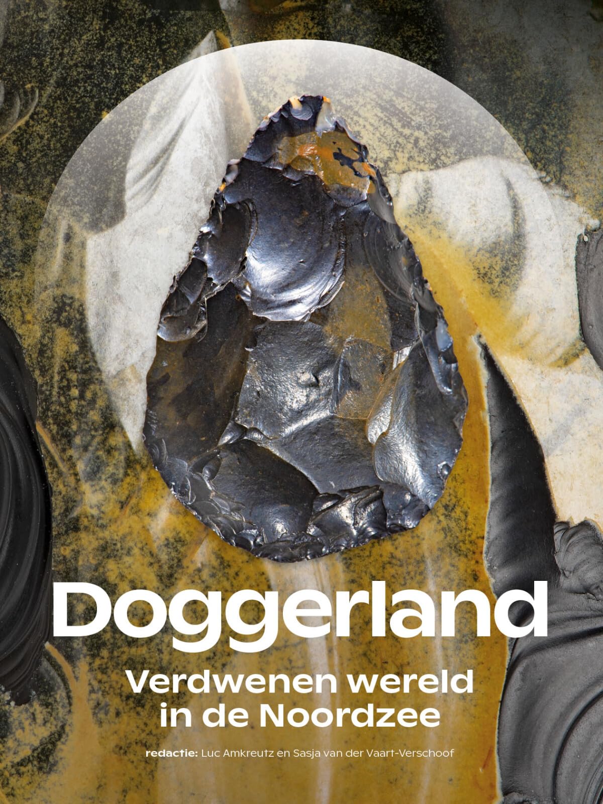 Doggerland: verdwenen wereld in de Noordzee book