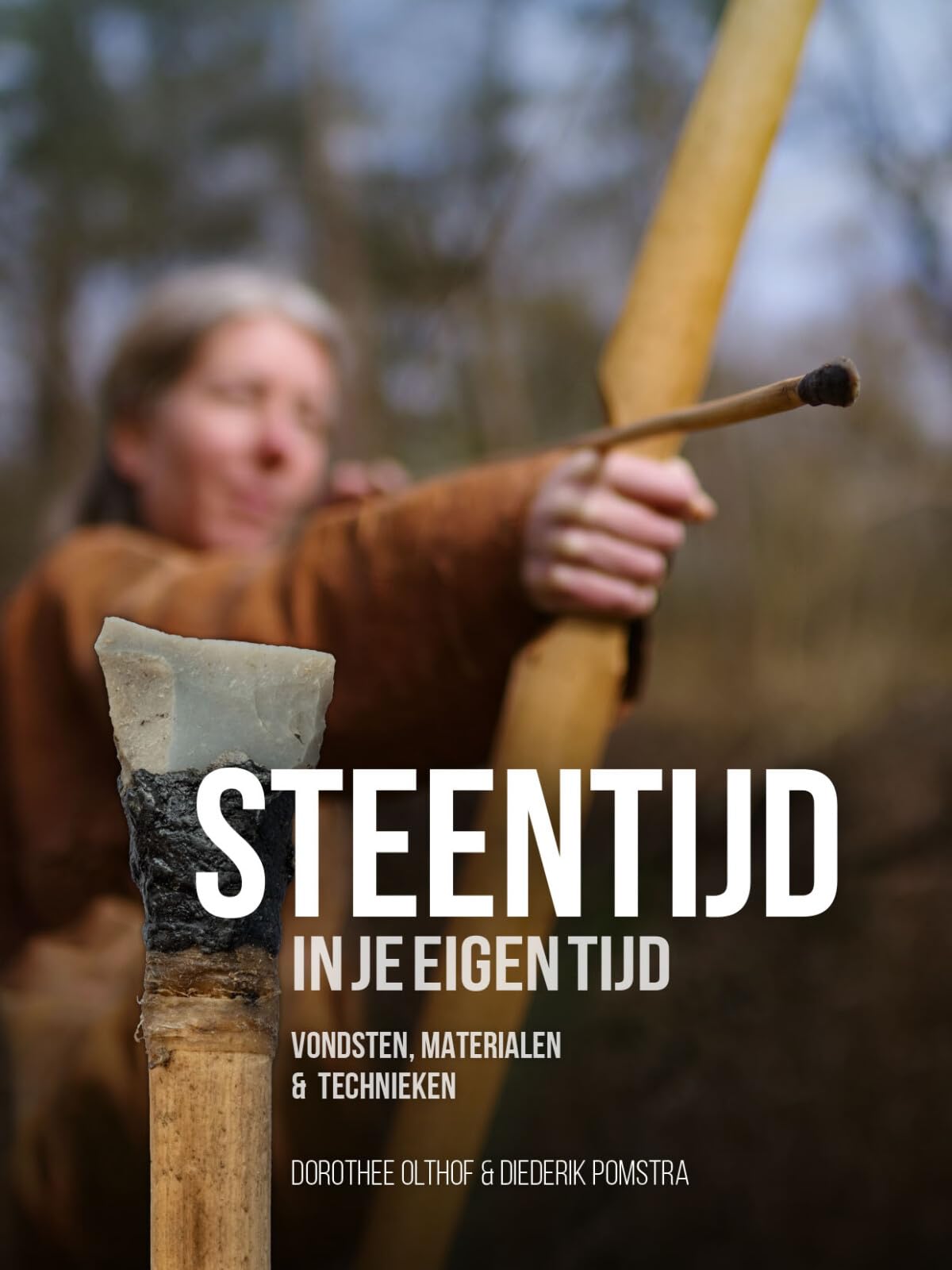 Steentijd in je eigen tijd: vondsten, materialen & technieken book