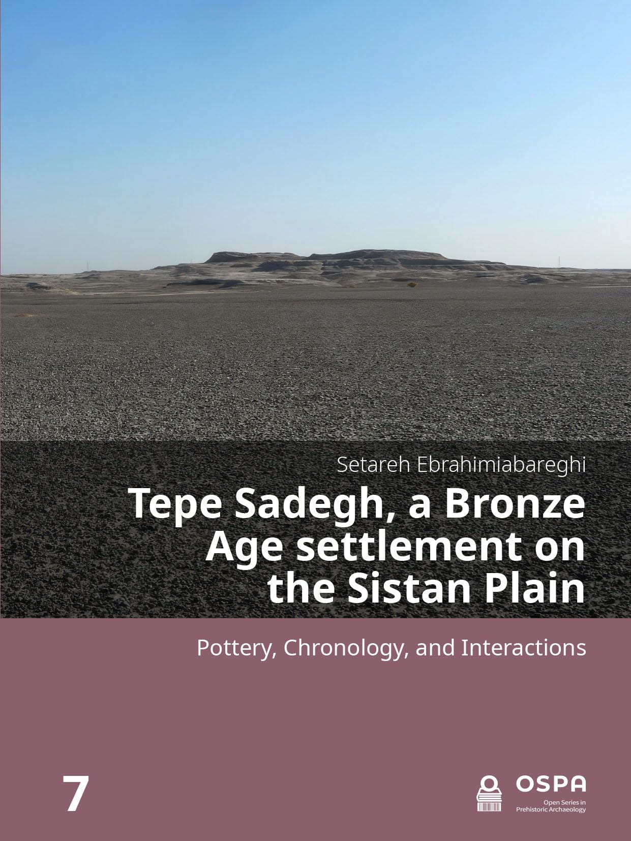 Tepe Sadegh, a Bronze Age settlement on the Sistan Plain Law