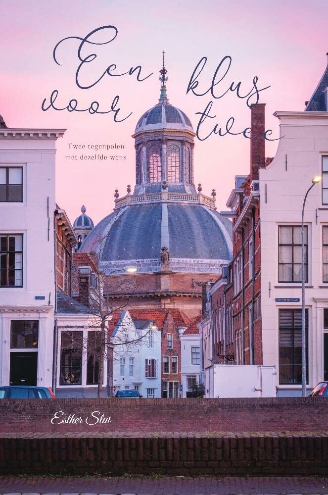 Een klus voor twee: Twee tegenpolen met dezelfde wens book