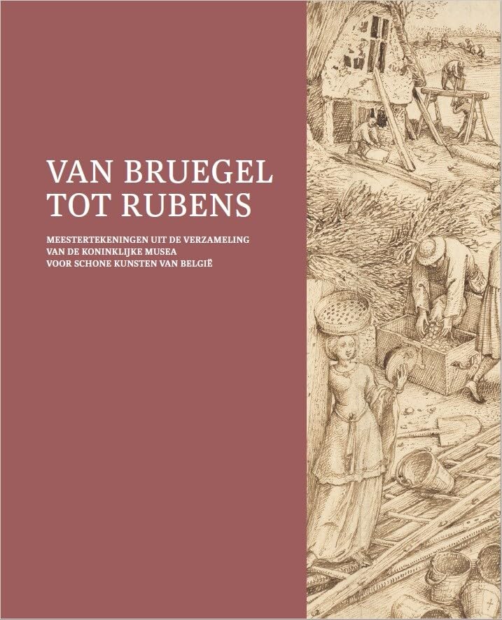 Van Bruegel tot Rubens: meestertekeningen uit de verzameling van de Koninklijke Musea voor Schone Kunsten van België book