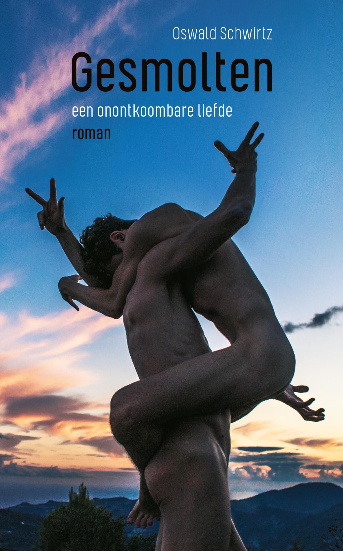 Gesmolten: een onontkoombare liefde book