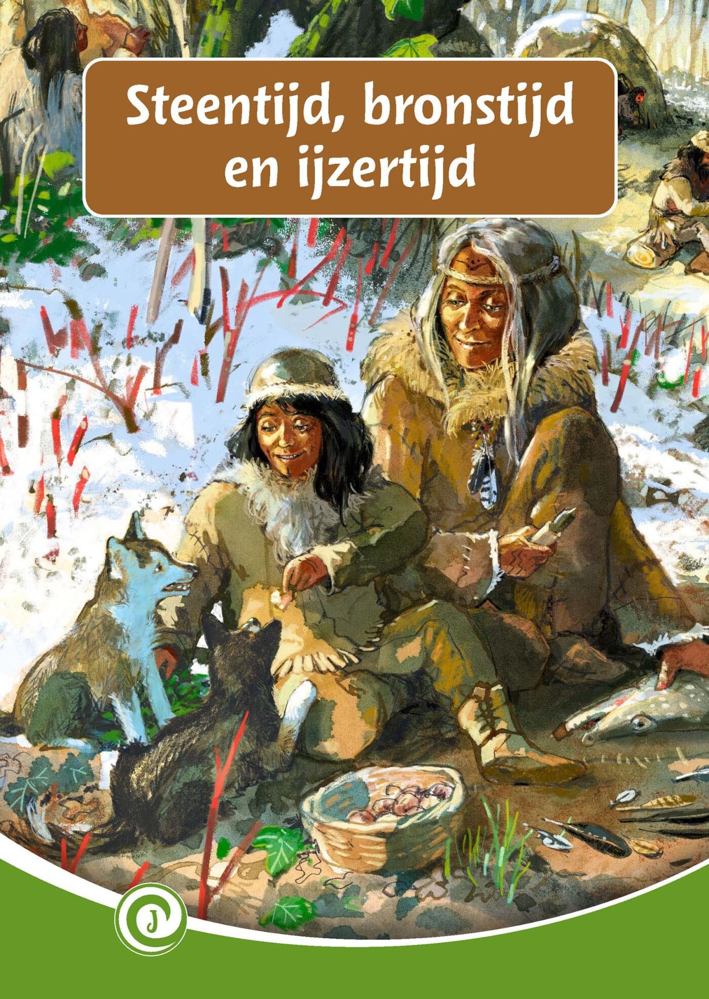 Steentijd, bronstijd en ijzertijd book