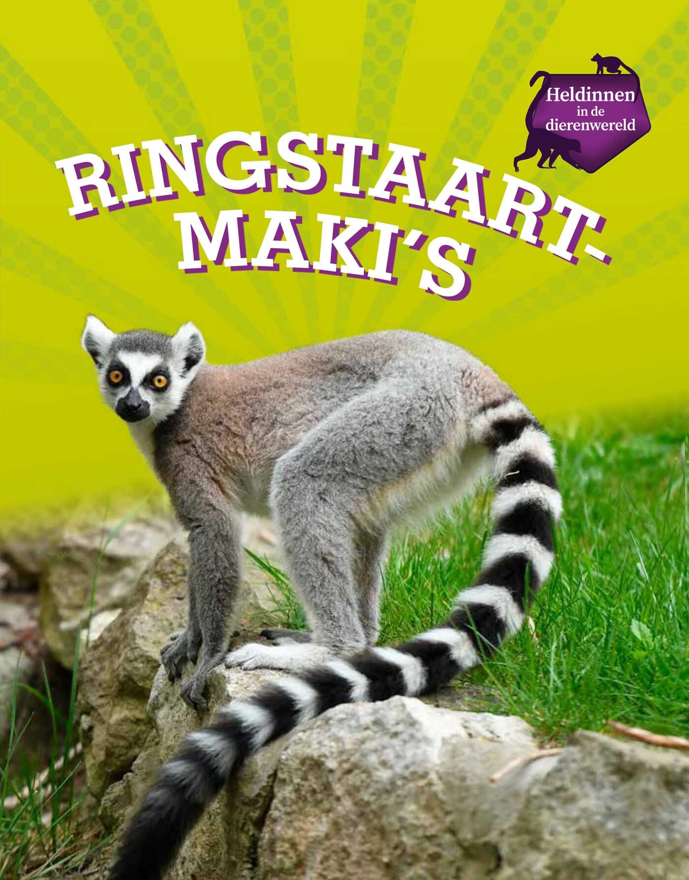 Ringstaartmaki's: leidsters van de troep (Heldinnen in de dierenwereld) Non-fiction