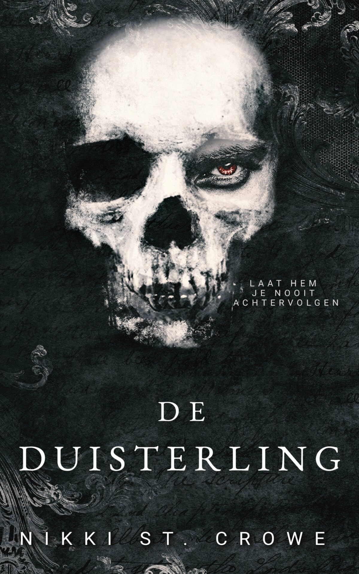 De duisterling (Wrede verloren jongens, 2) Contemporary literature