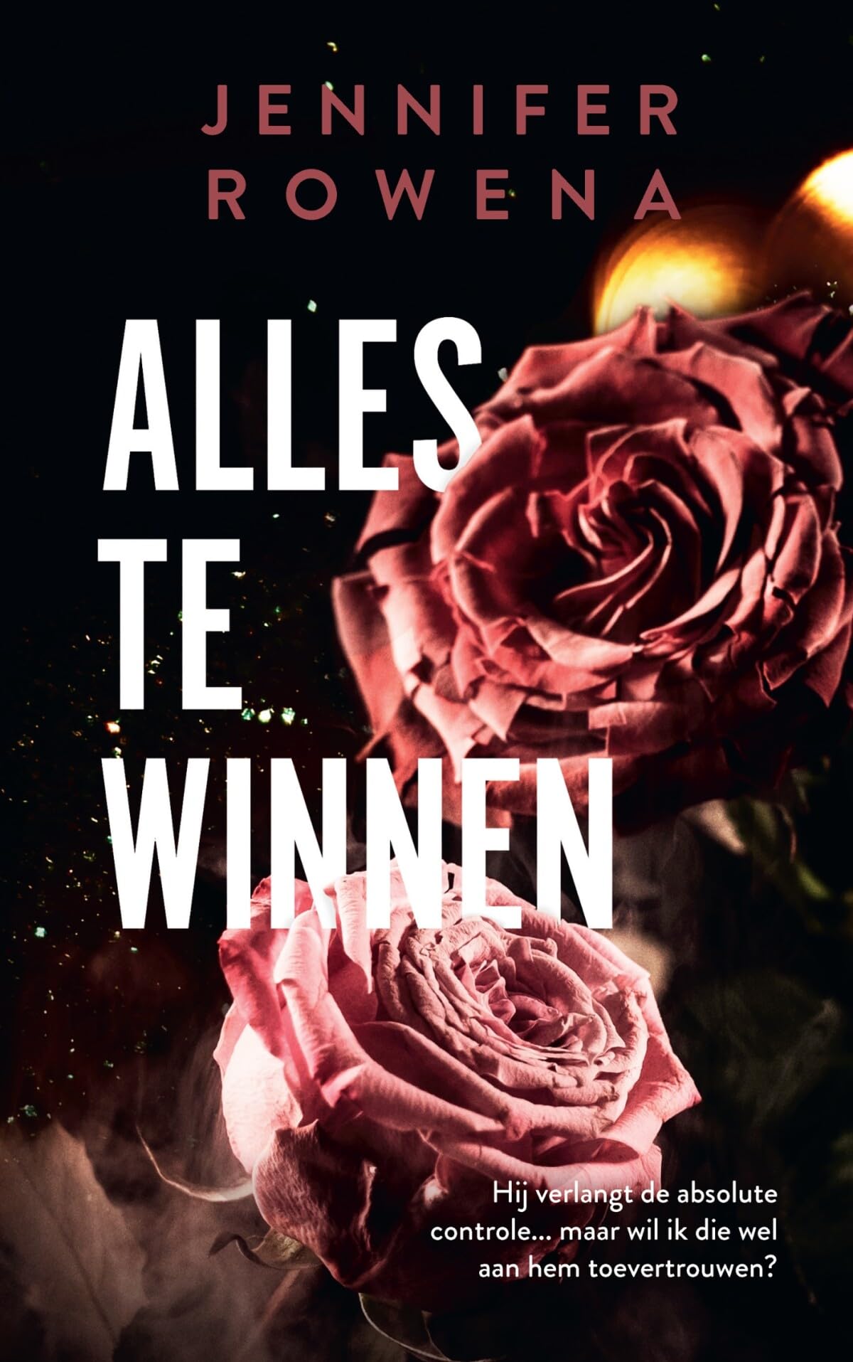 Alles te winnen (Russo-broers, 2) Contemporary literature
