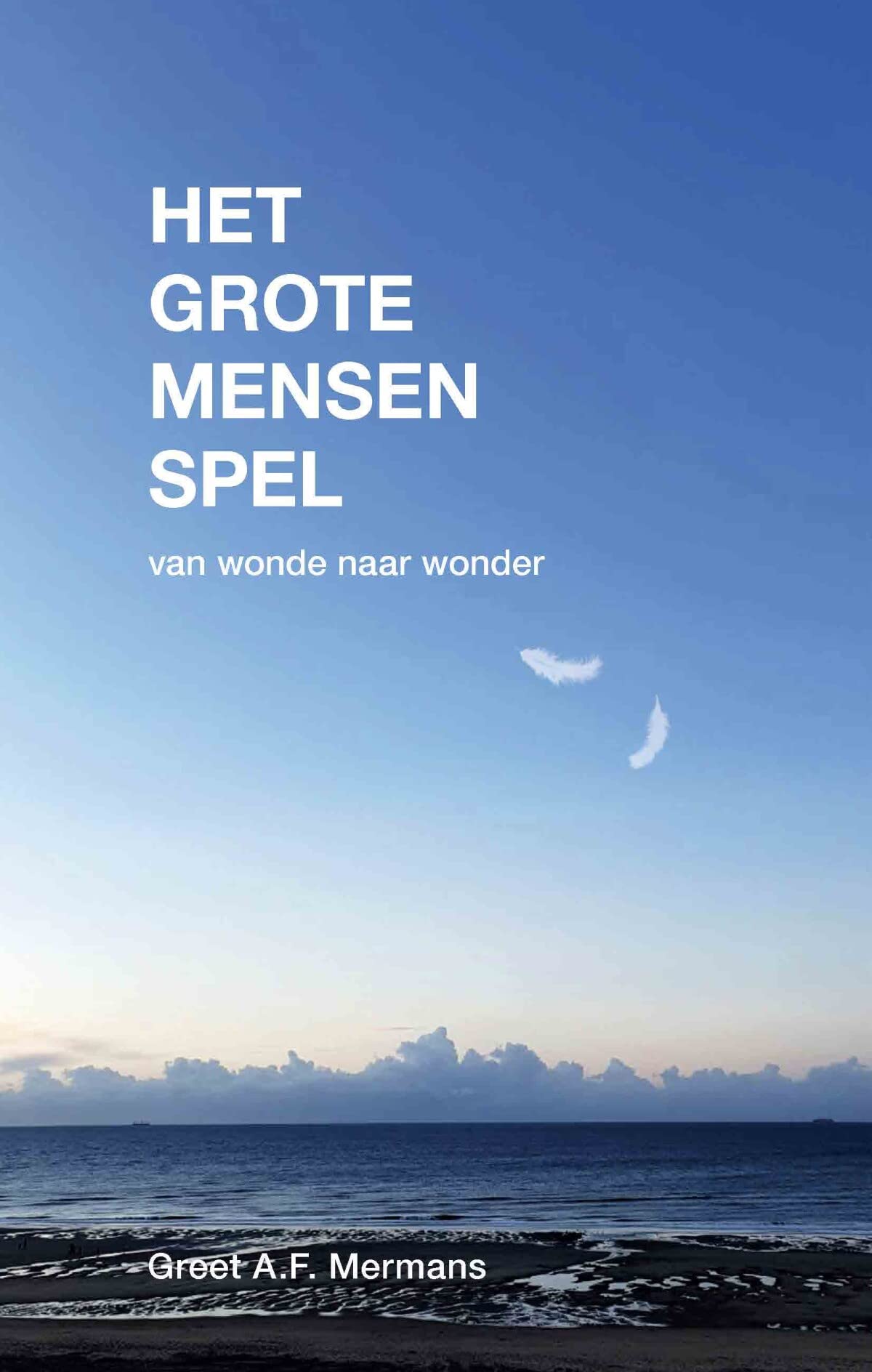 Het Grote Mensen Spel: van wonde naar wonder book