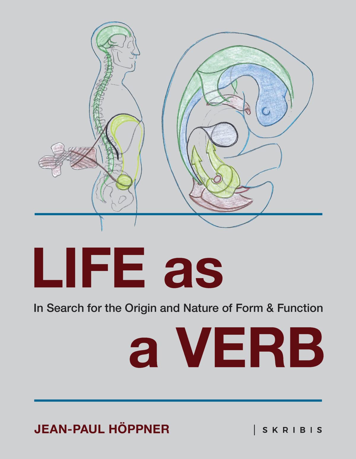 Life as a Verb: In Search for the Origin and Nature of Form & Function Medicine