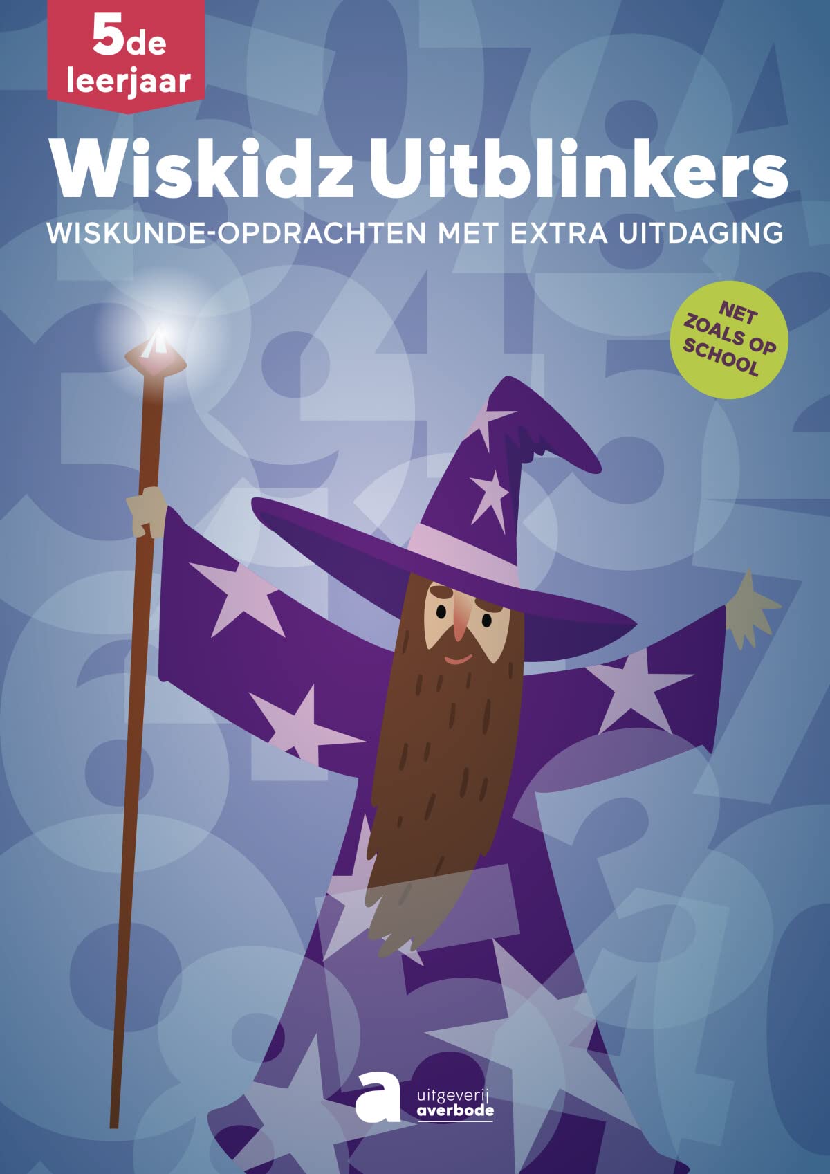 Wiskidz uitblinkers - 5de leerjaar: Wiskunde-opdrachten met extra uitdaging book
