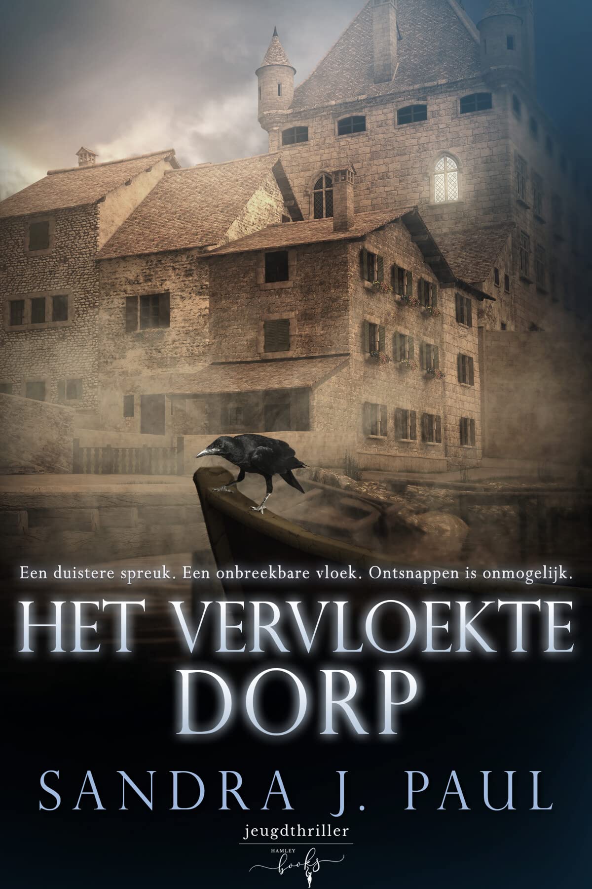 Het vervloekte dorp book